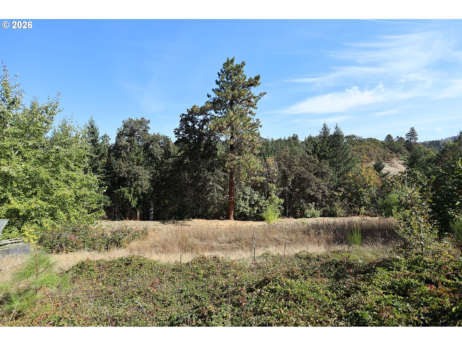 1250 Dry Creek Rd Property Photo 28