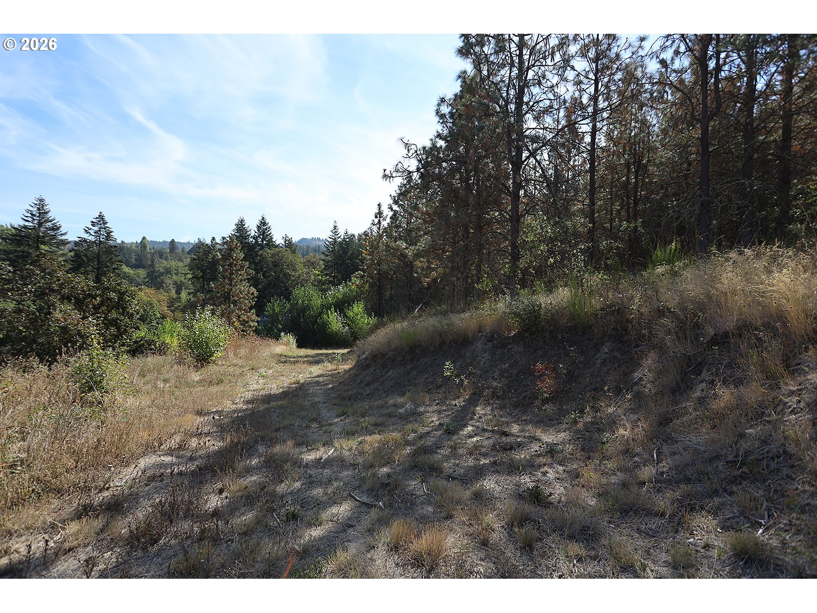 1250 Dry Creek Rd Property Photo 29
