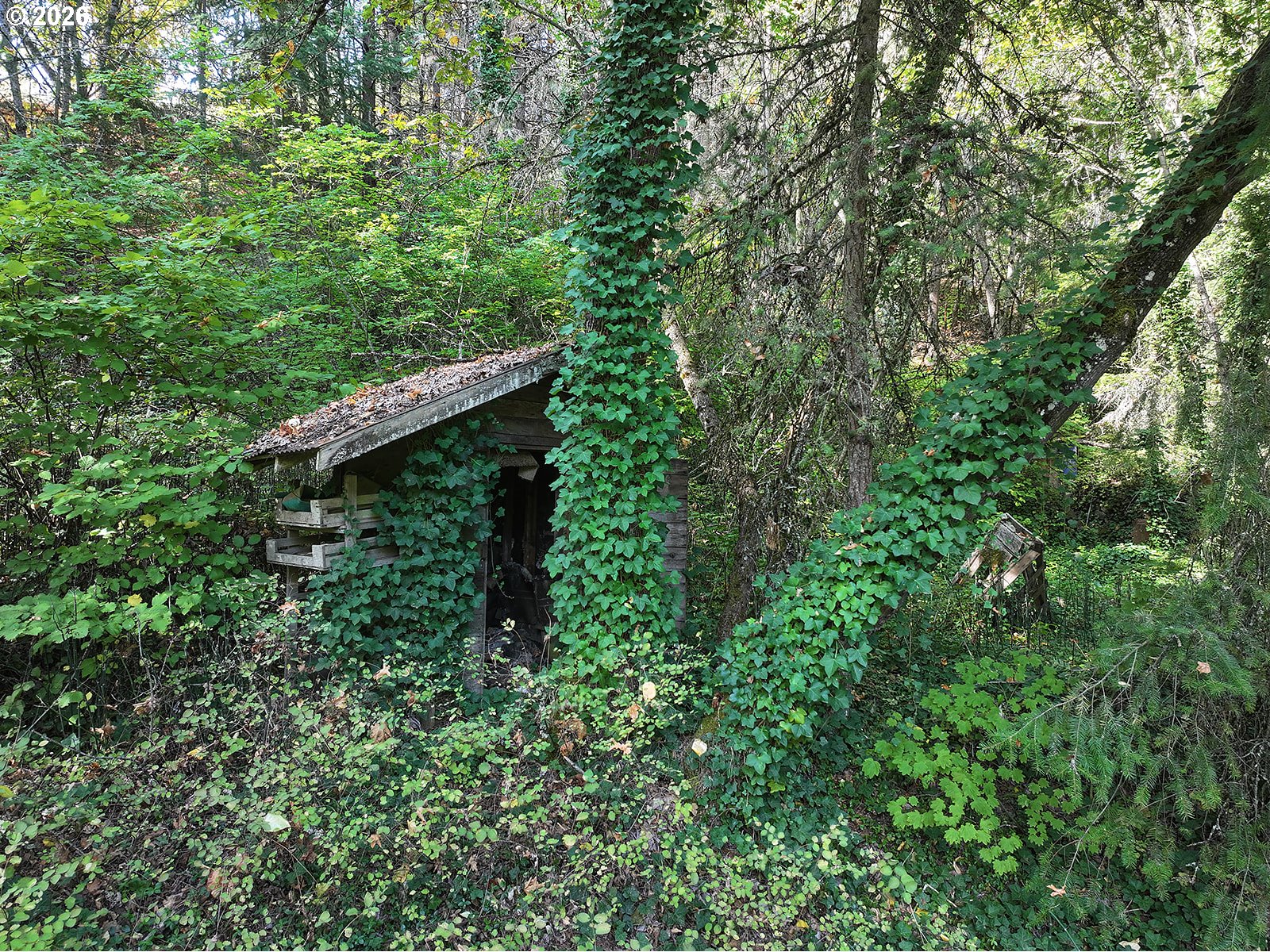 1250 Dry Creek Rd Property Photo 34
