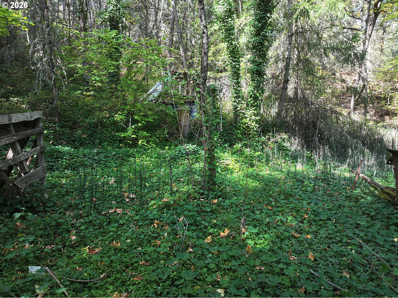 1250 Dry Creek Rd Property Photo 35