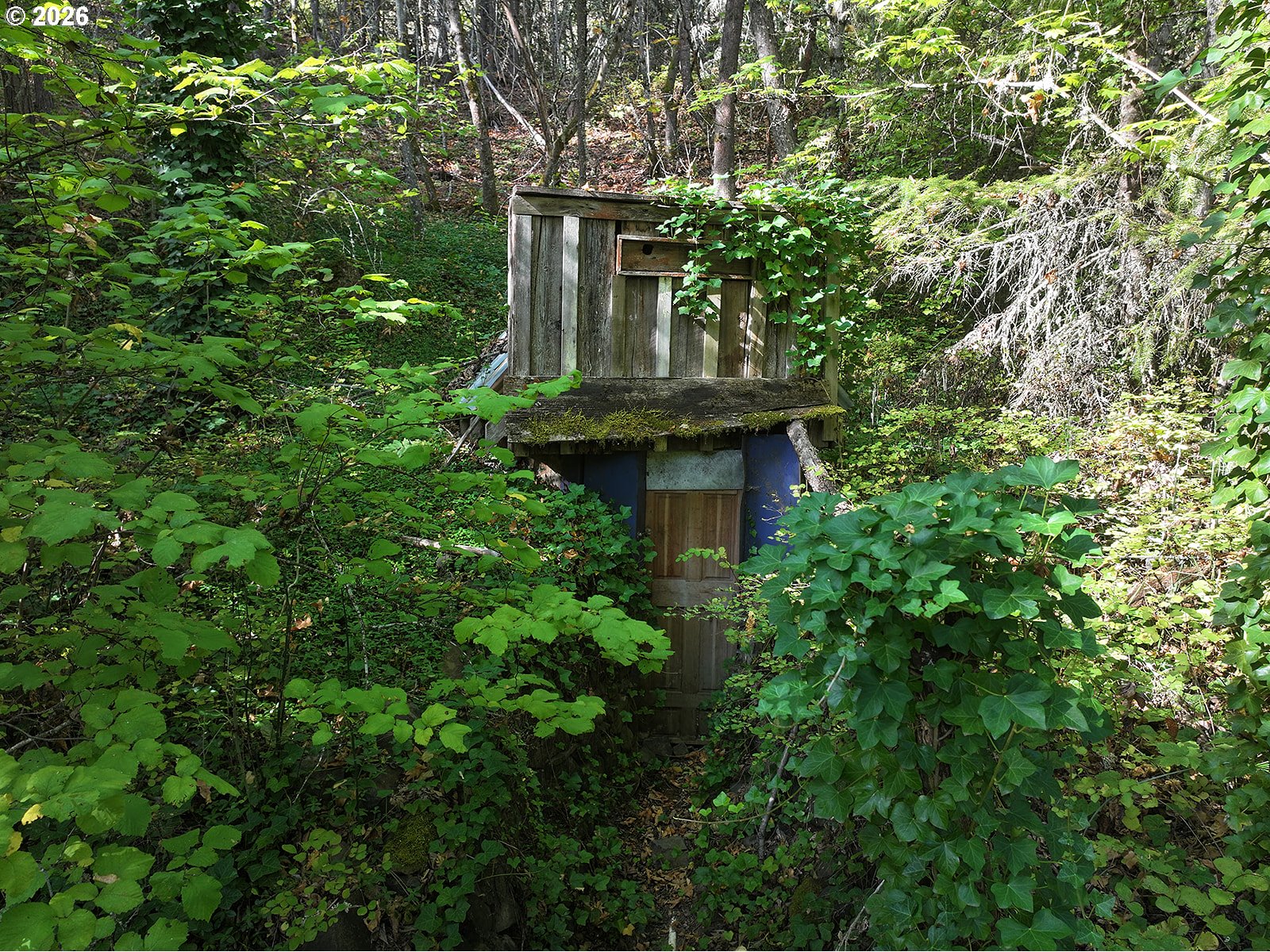1250 Dry Creek Rd Property Photo 36