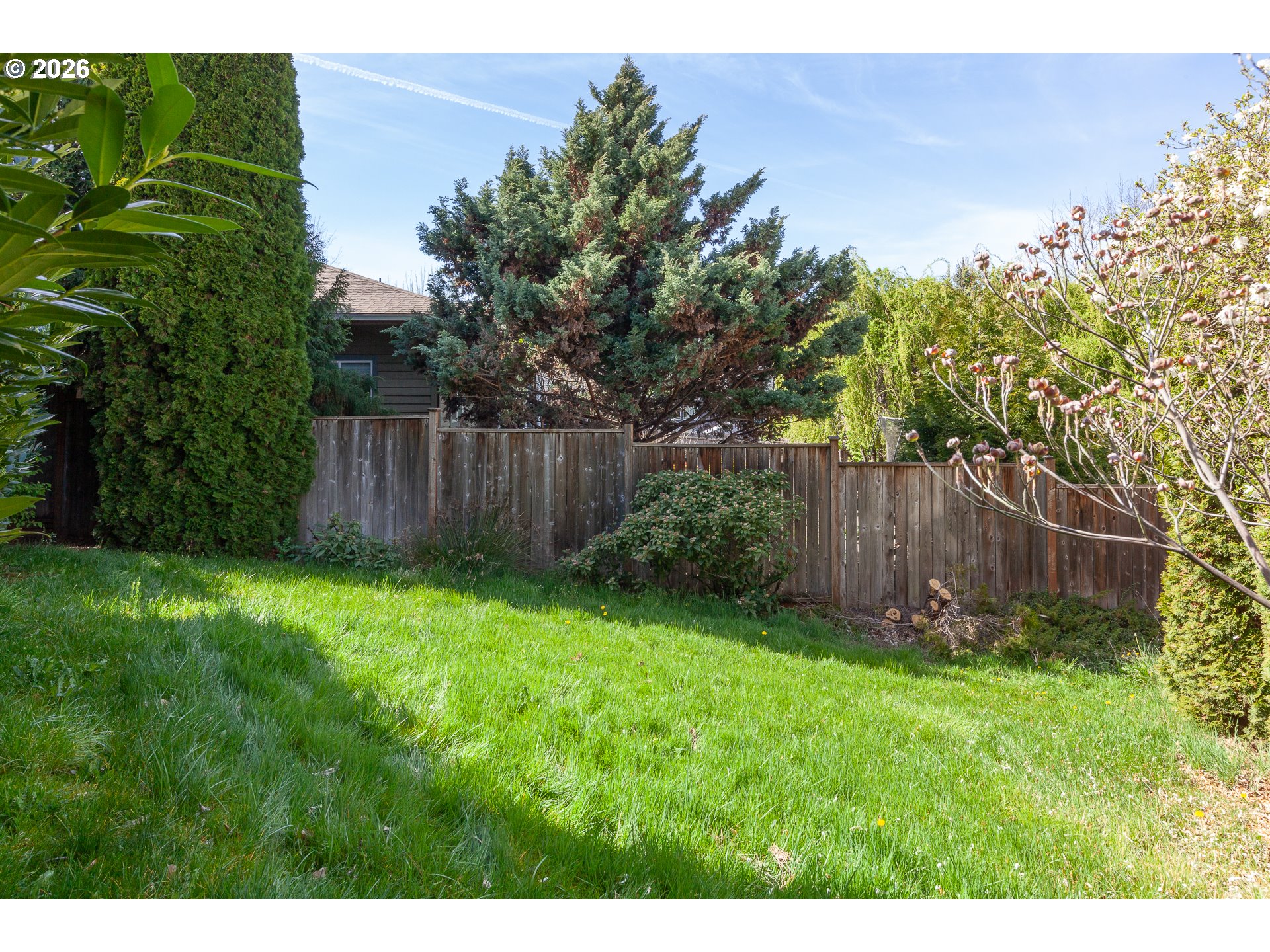 556 Forestview Dr Property Photo 45
