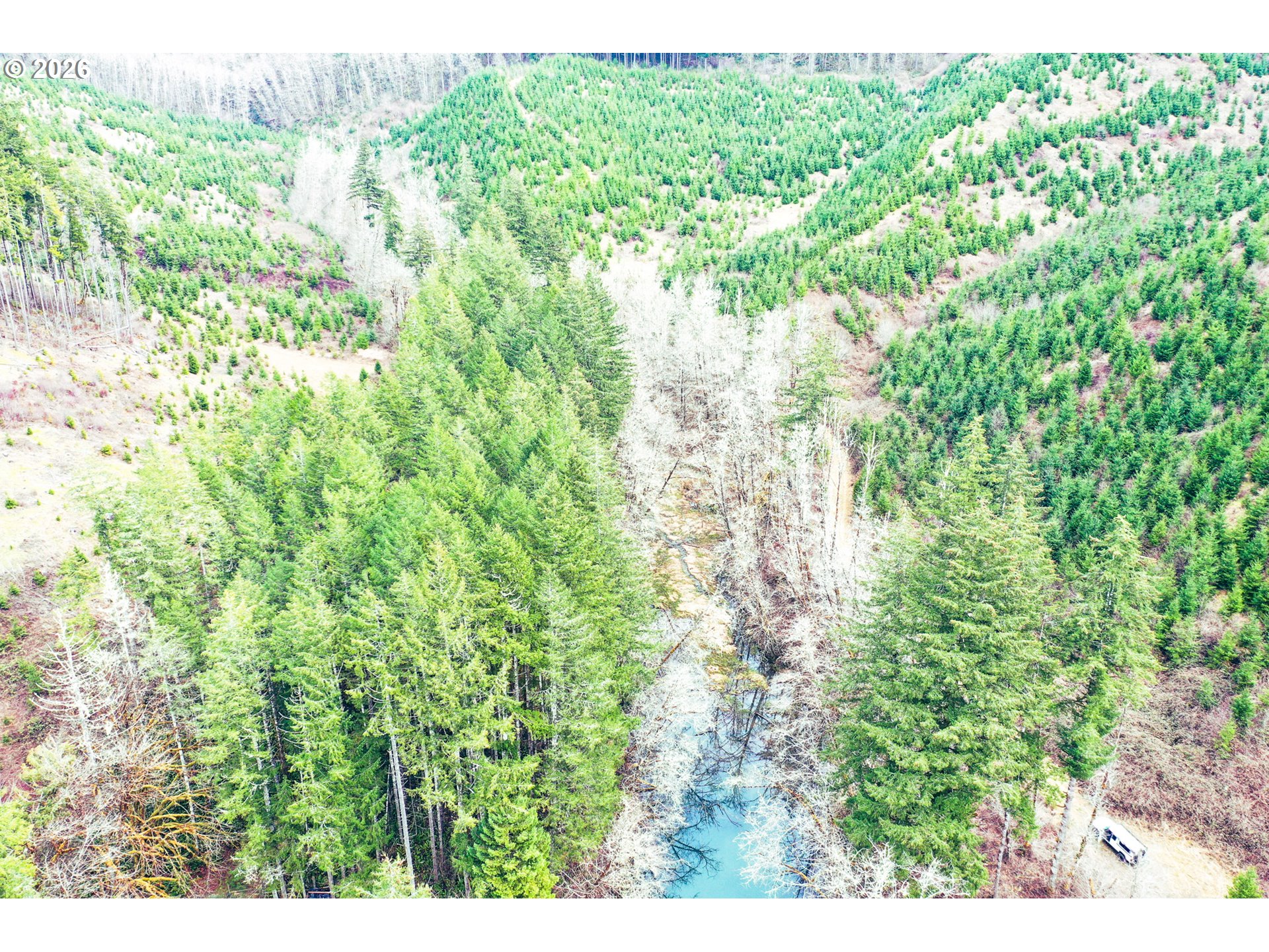 Marys Peak Rd Tl501 Property Photo 1