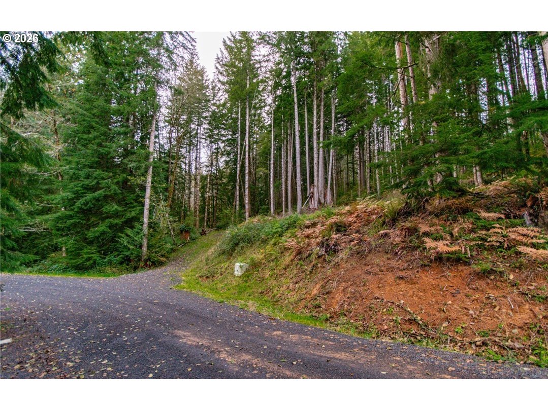 1 Lot Bison Run Property Photo 1