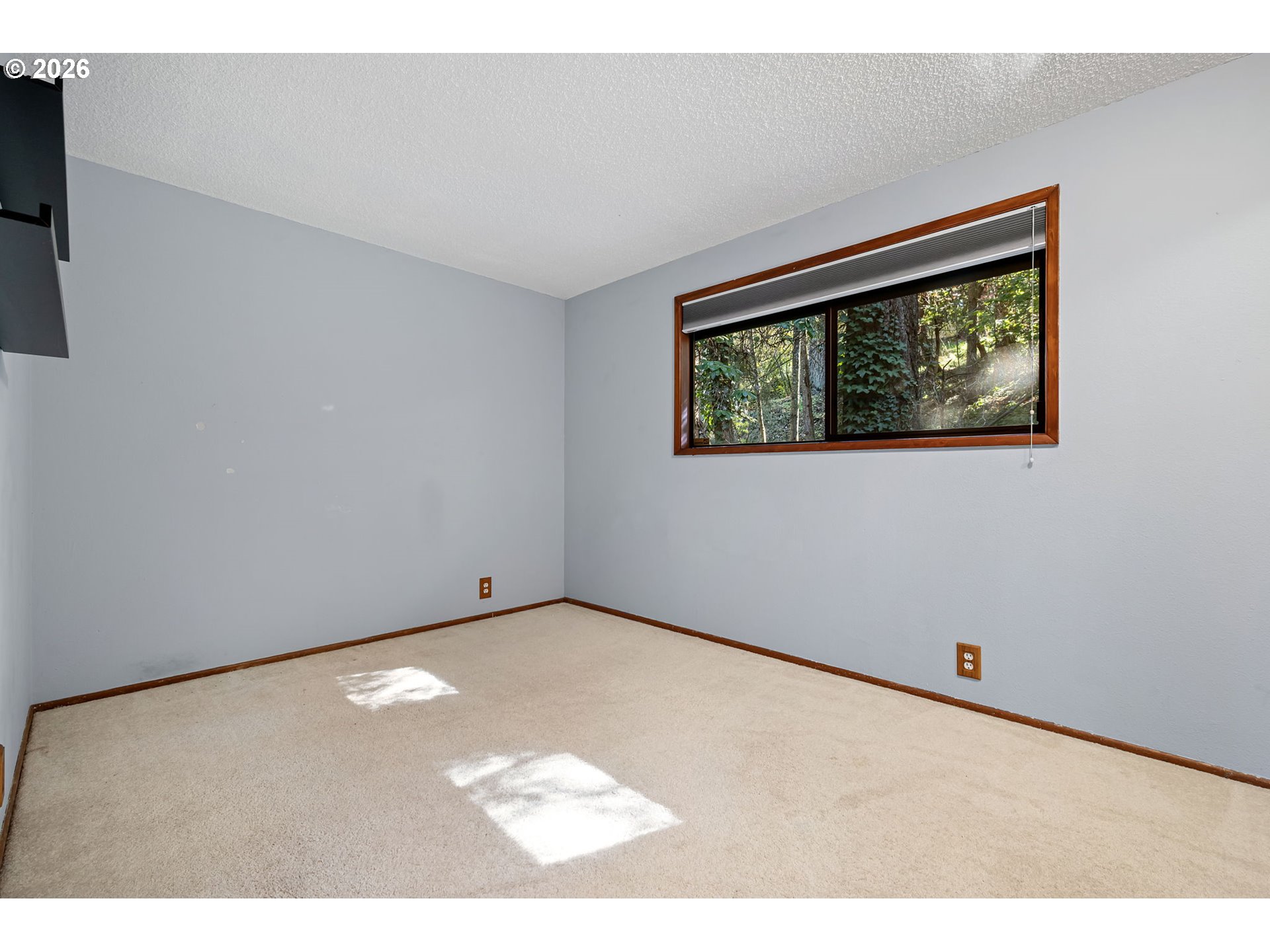 2854 Warren St Property Photo 31