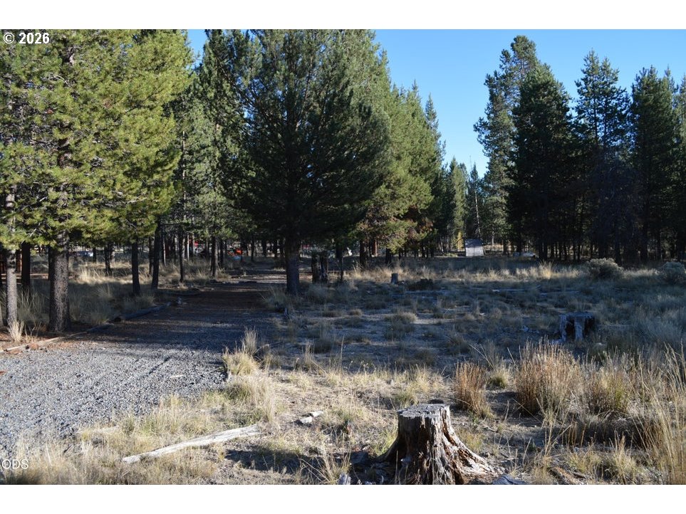 11309 Burlwood Dr Property Photo 37