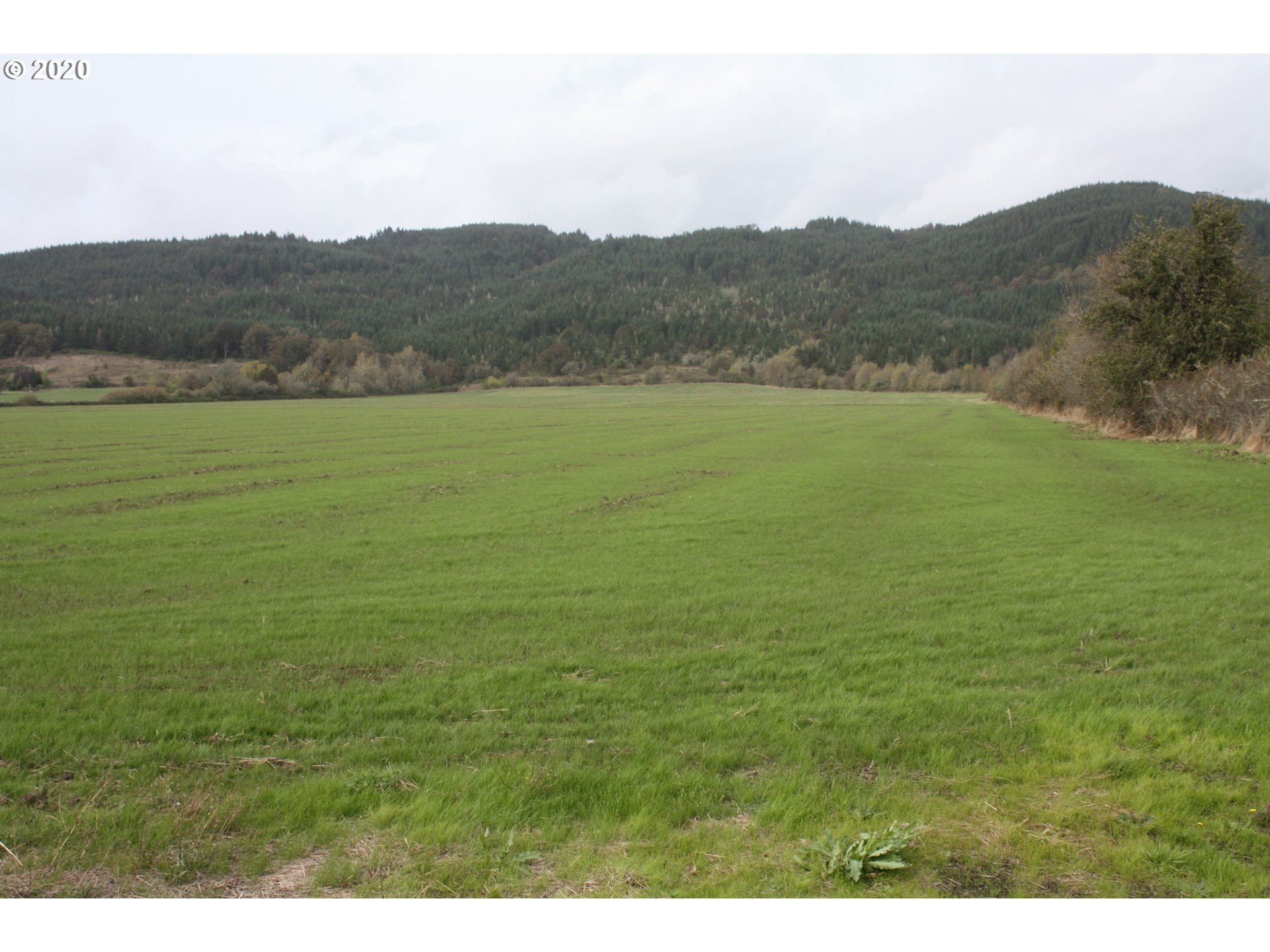 0 Viola Property Photo 2