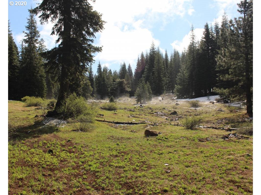 Keno Access Rd Property Photo 2