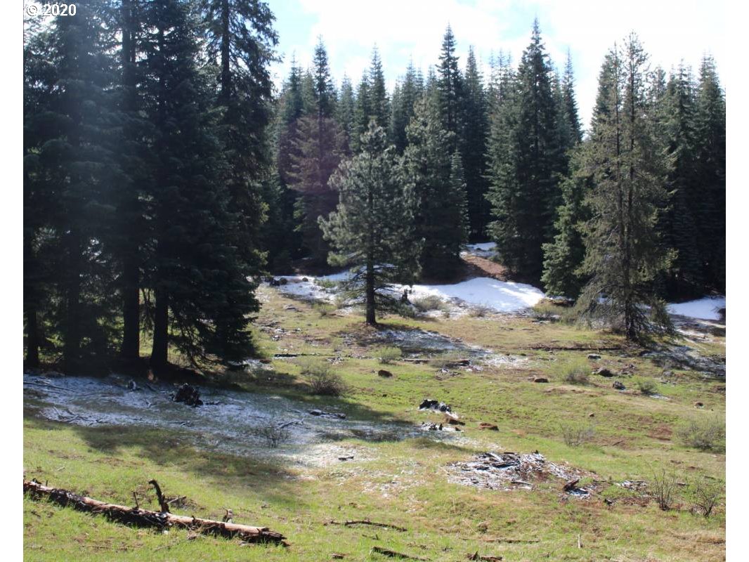 Keno Access Rd Property Photo 3