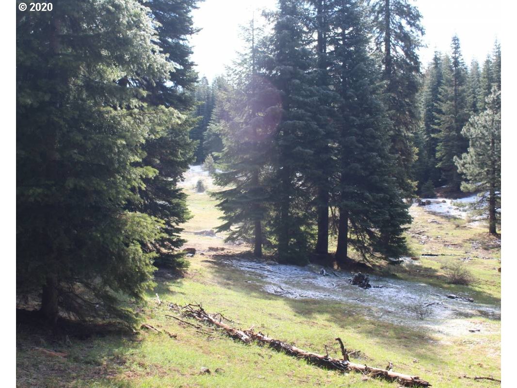 Keno Access Rd Property Photo 4
