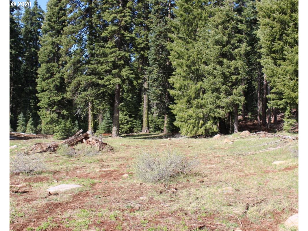 Keno Access Rd Property Photo 5