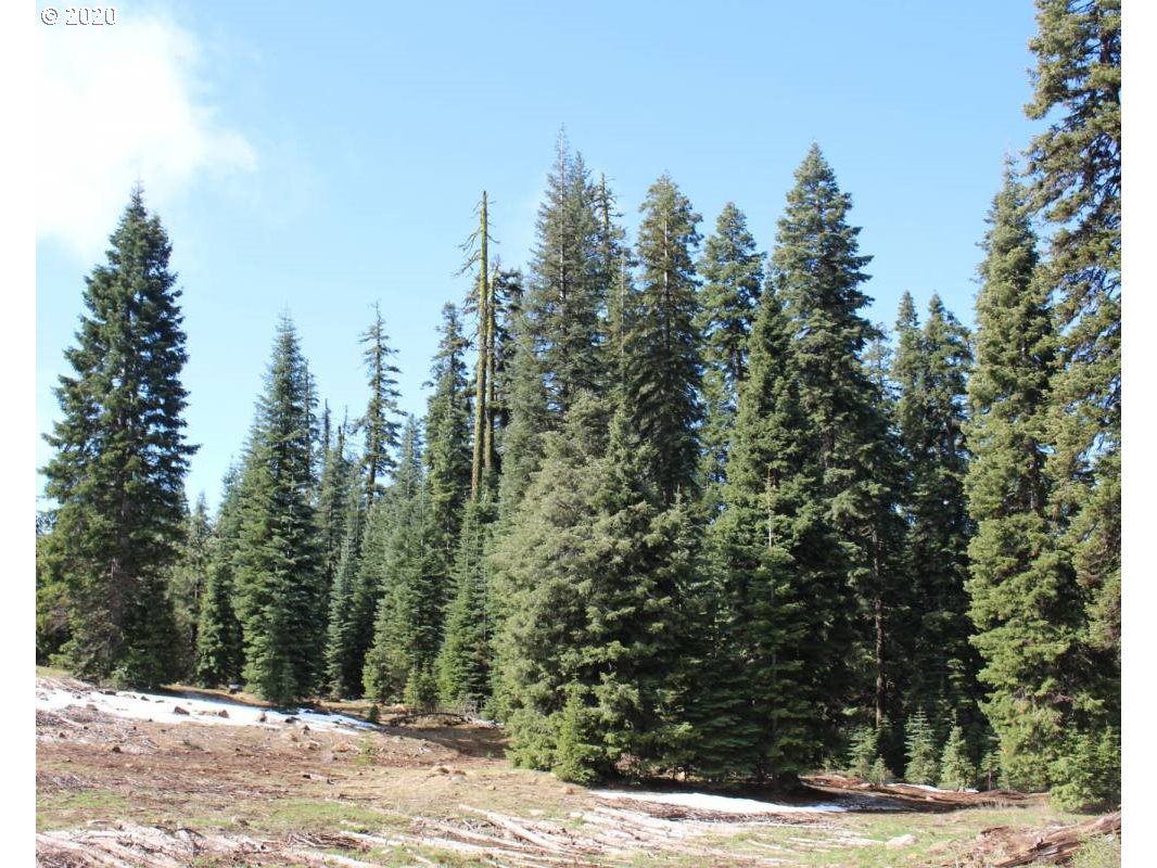 Keno Access Rd Property Photo 6