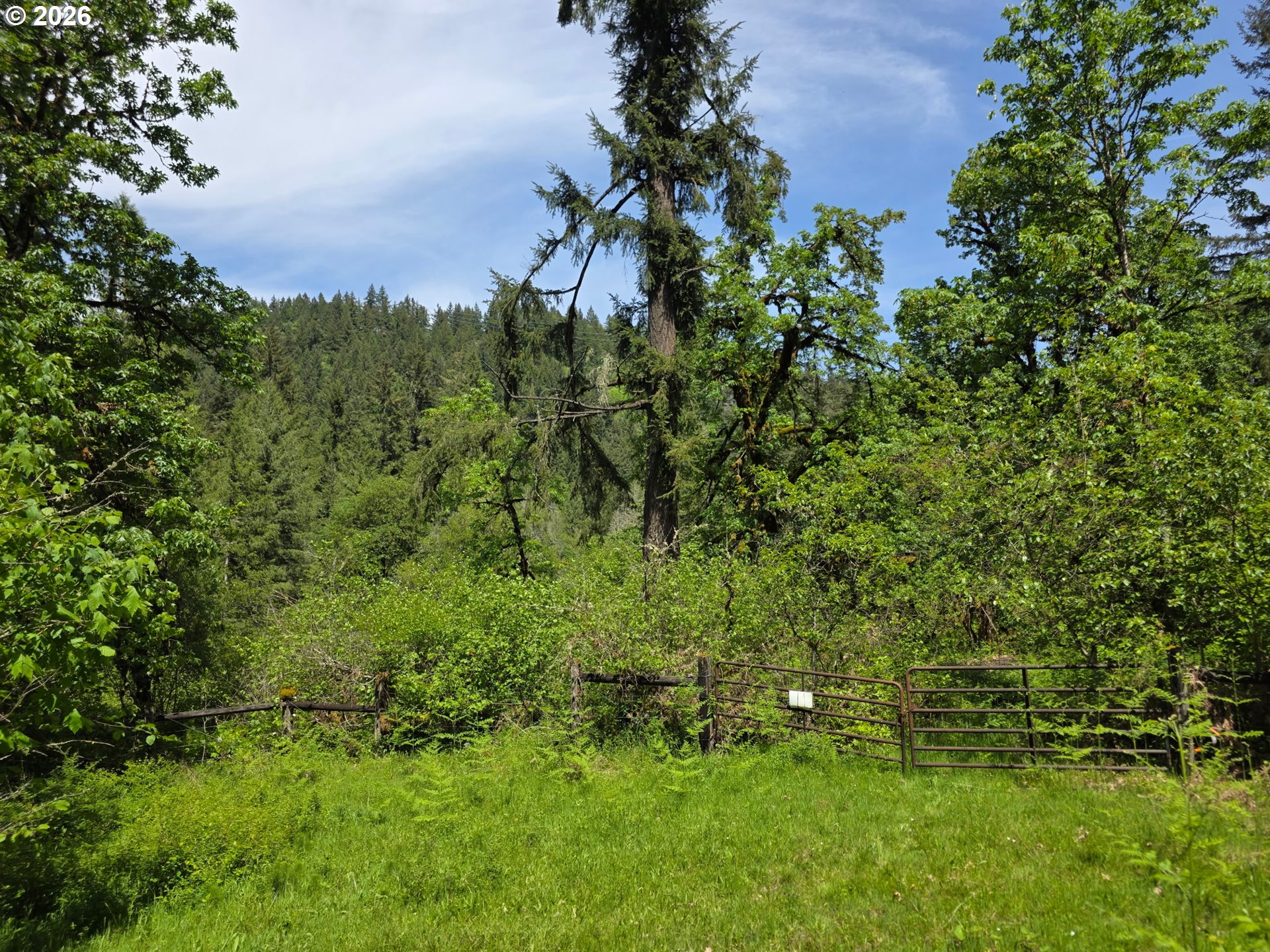 Lewis Cemetery RD
