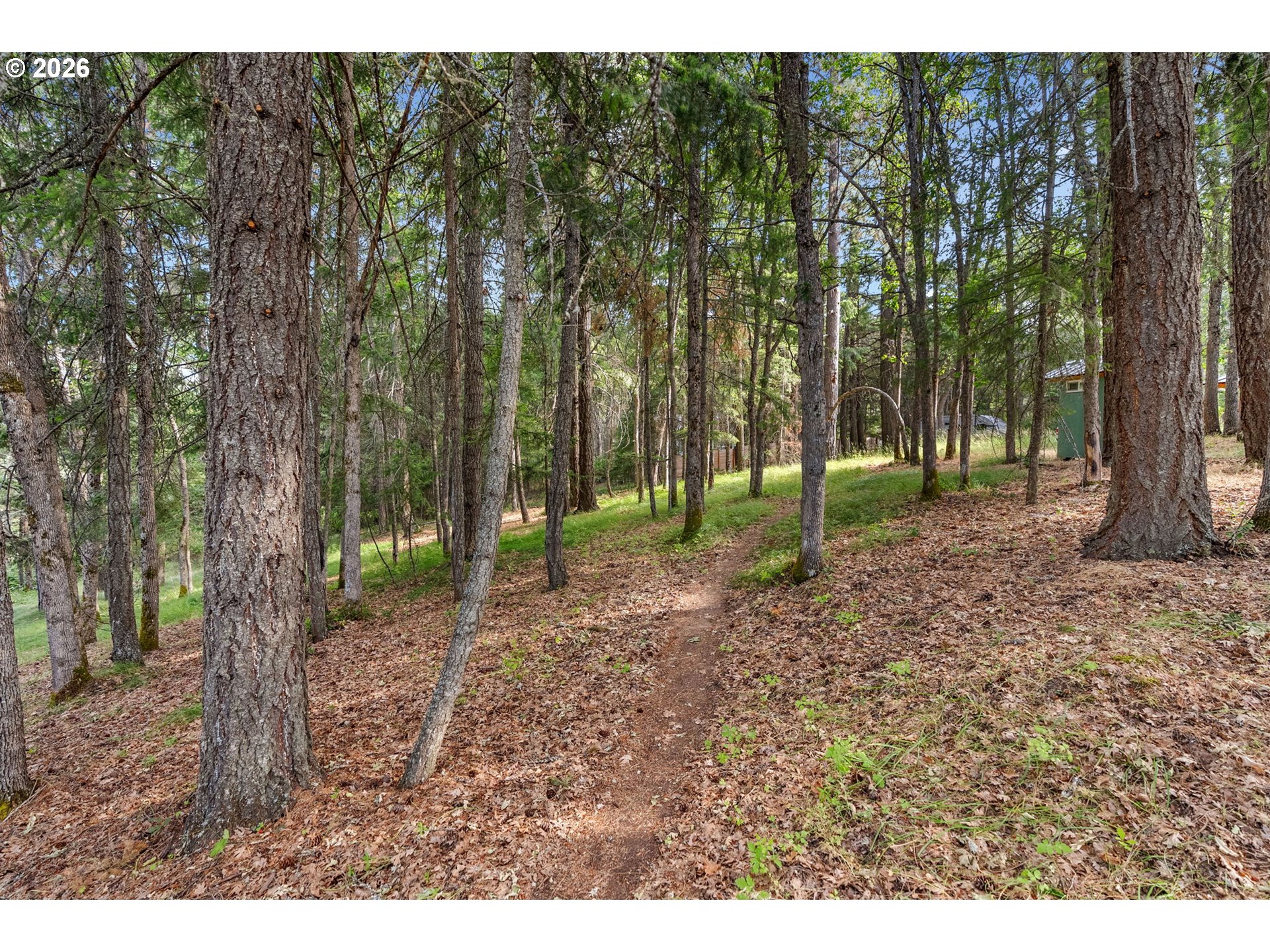 24 Meadows Loop Property Photo 16