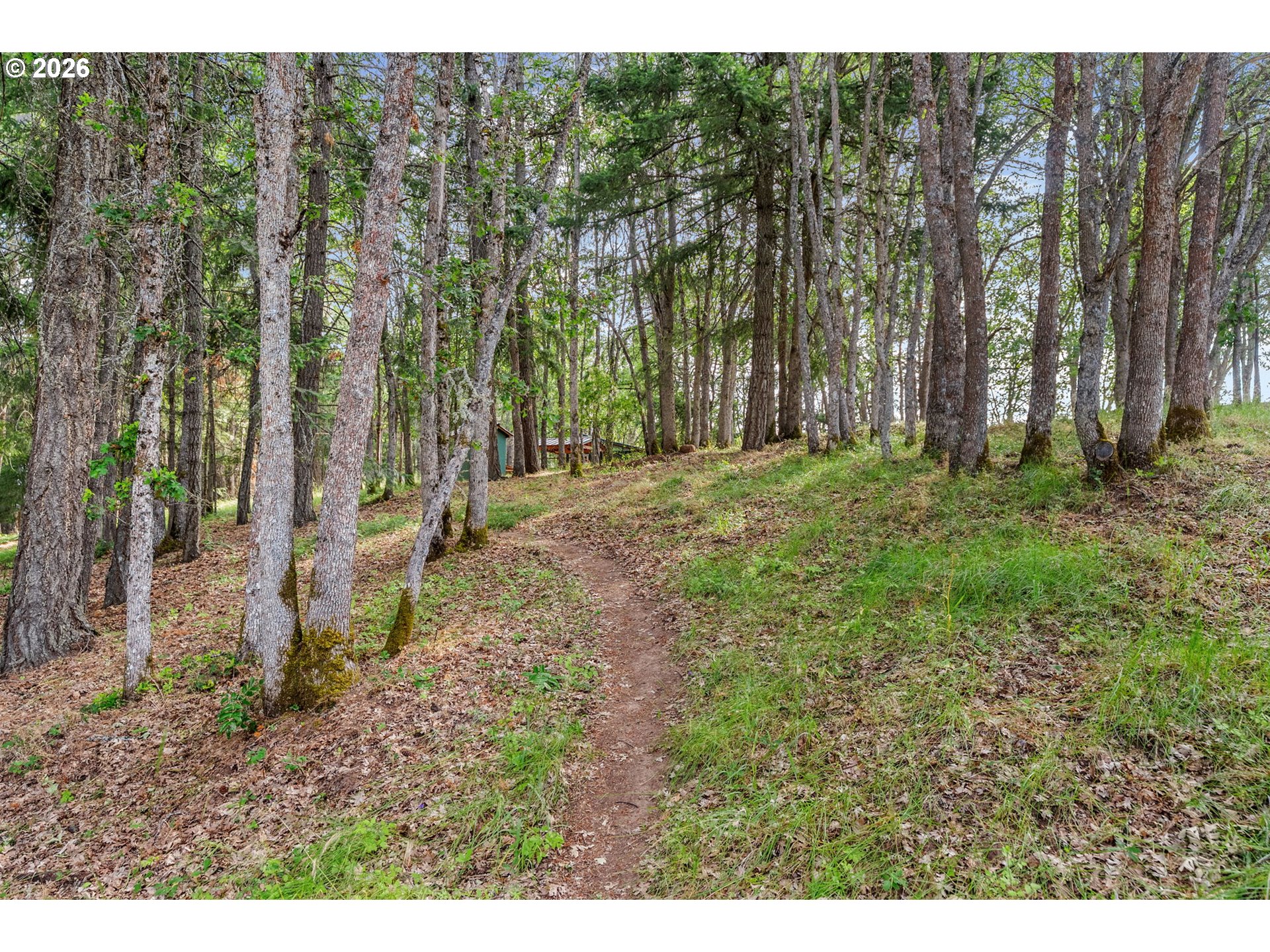 24 Meadows Loop Property Photo 17
