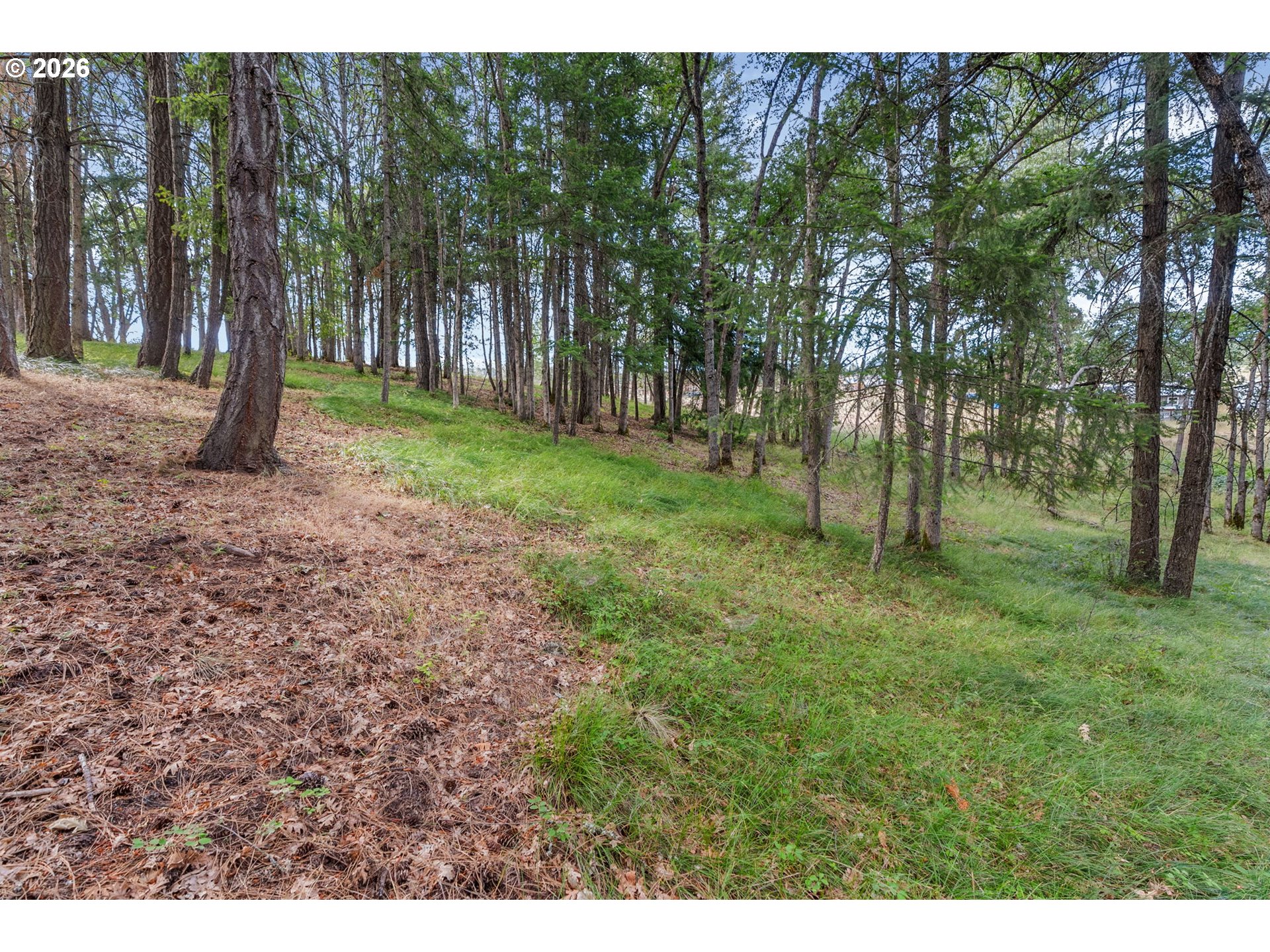 24 Meadows Loop Property Photo 18