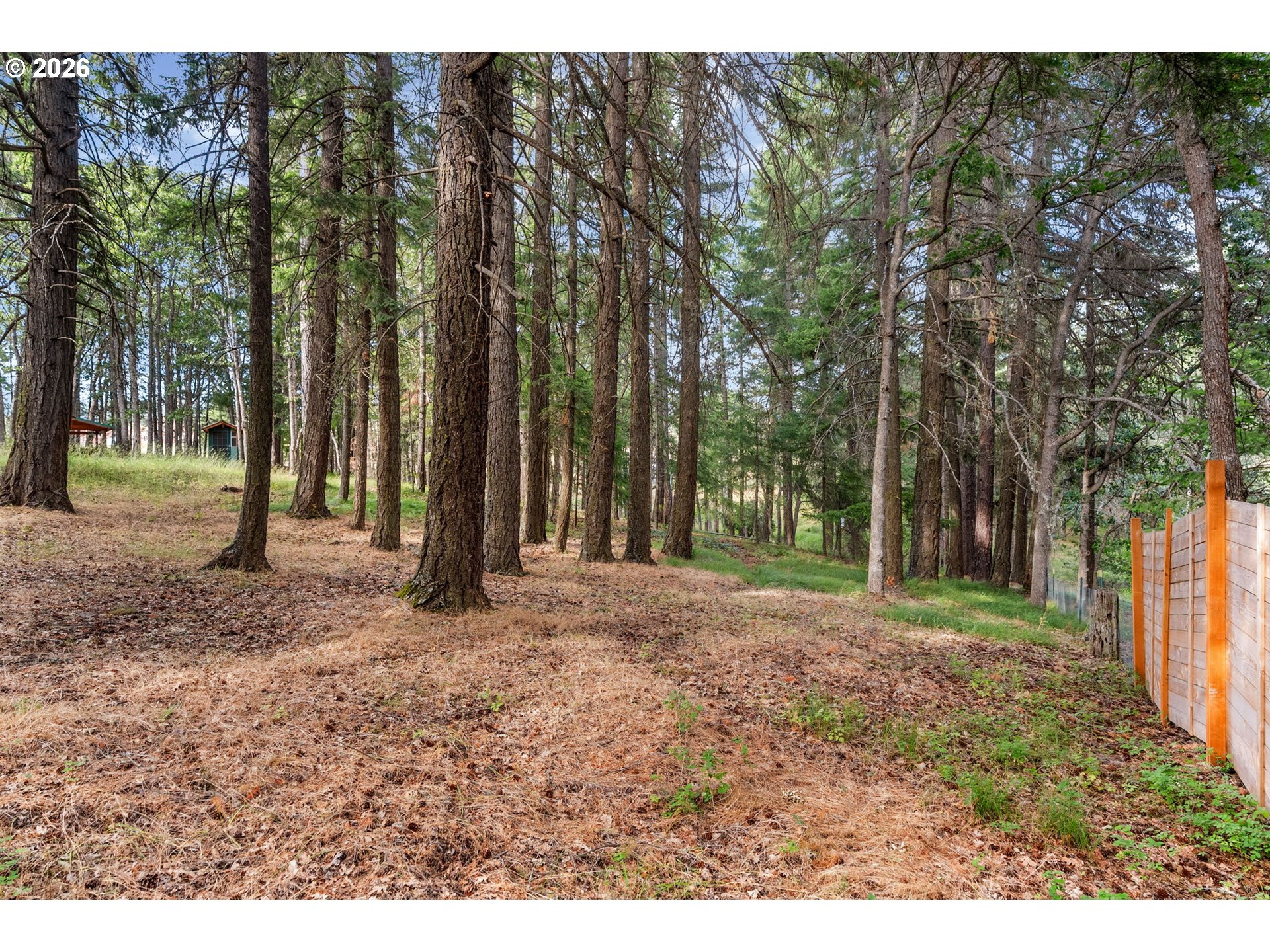 24 Meadows Loop Property Photo 19