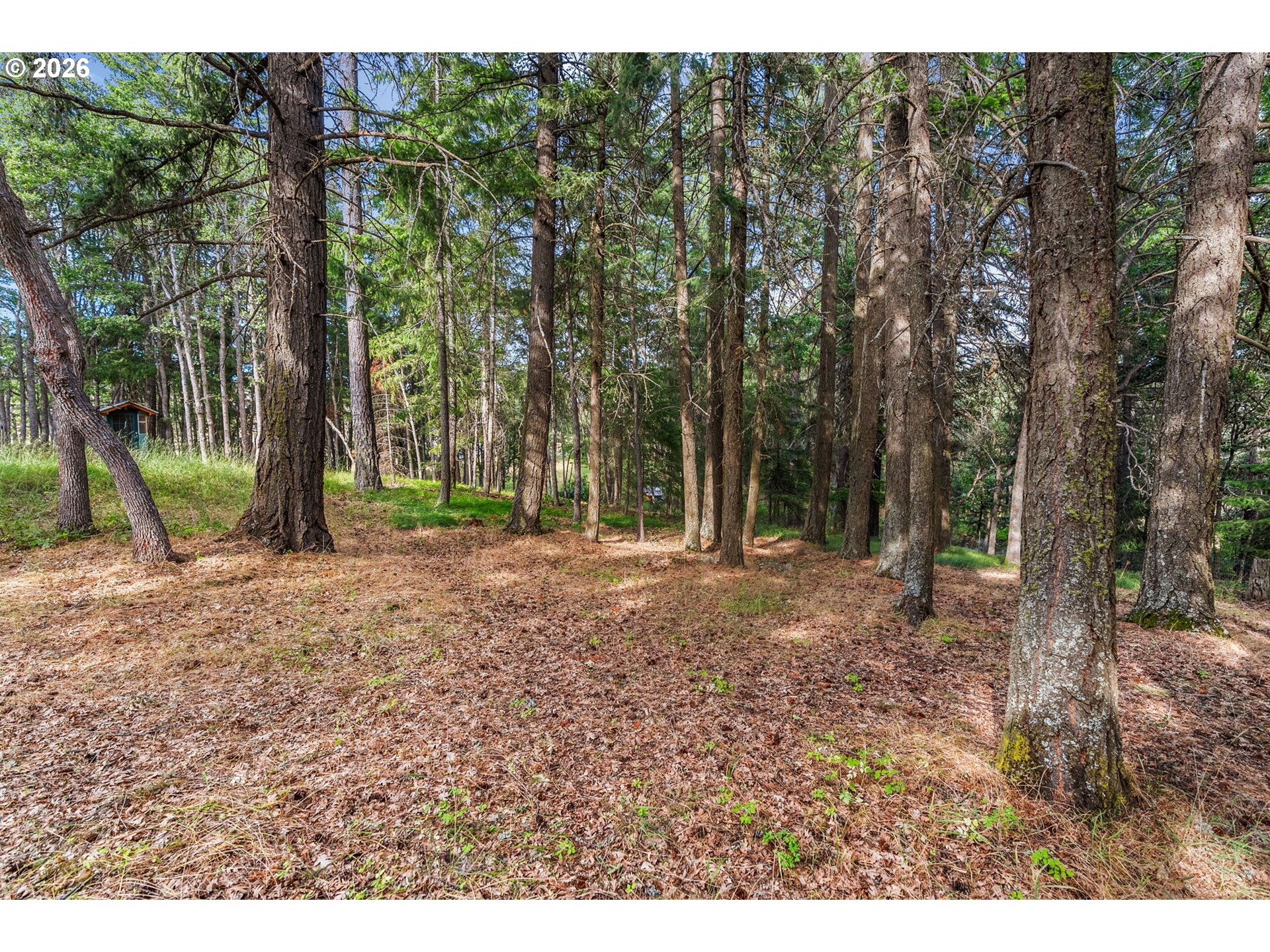 24 Meadows Loop Property Photo 20