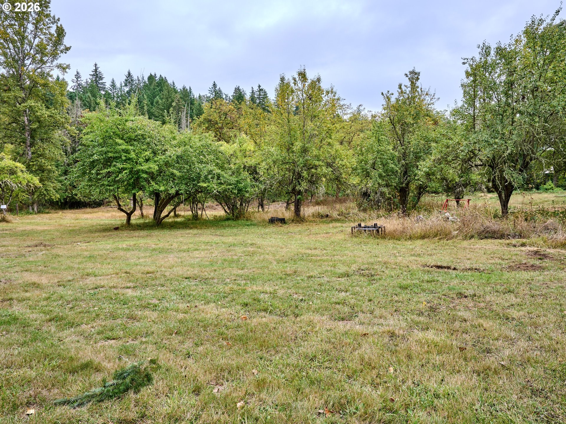 32577 Dickey Prairie Rd Property Photo 11