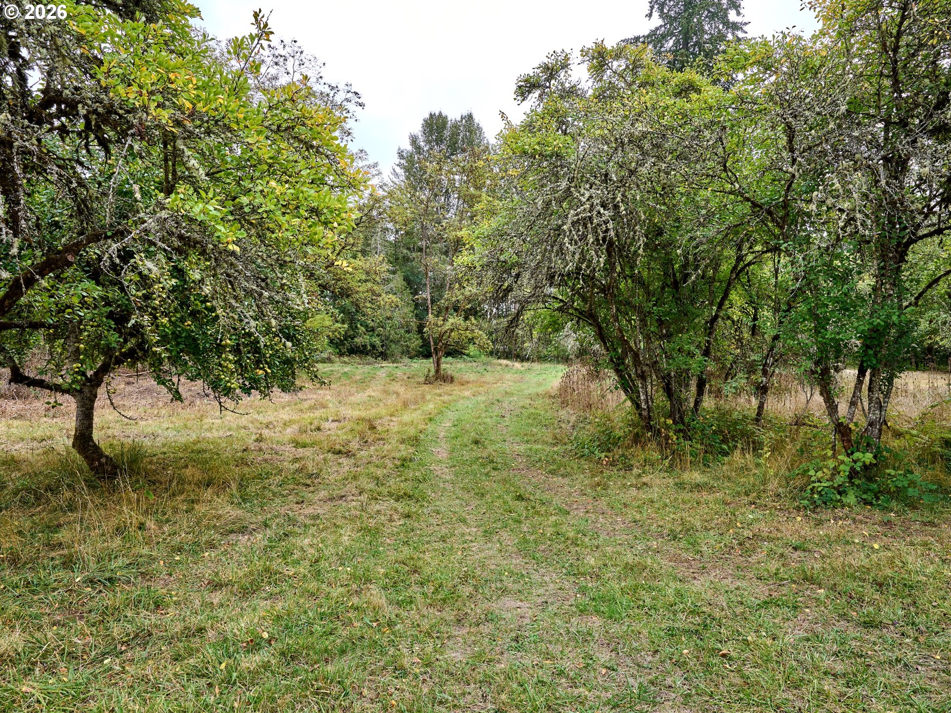32577 Dickey Prairie Rd Property Photo 12