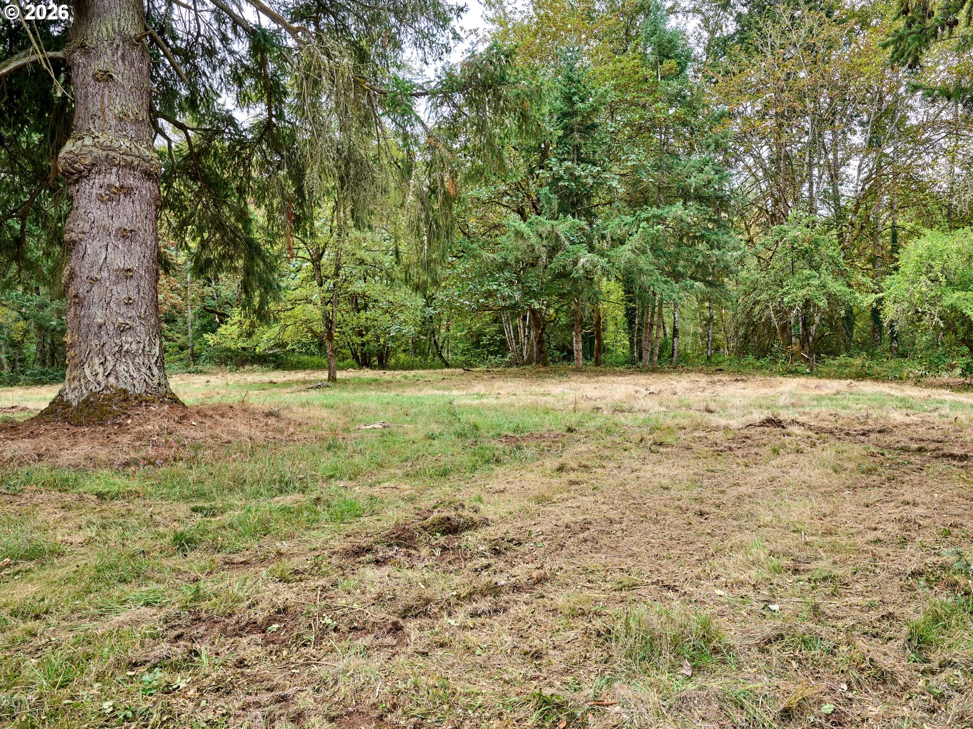 32577 Dickey Prairie Rd Property Photo 14