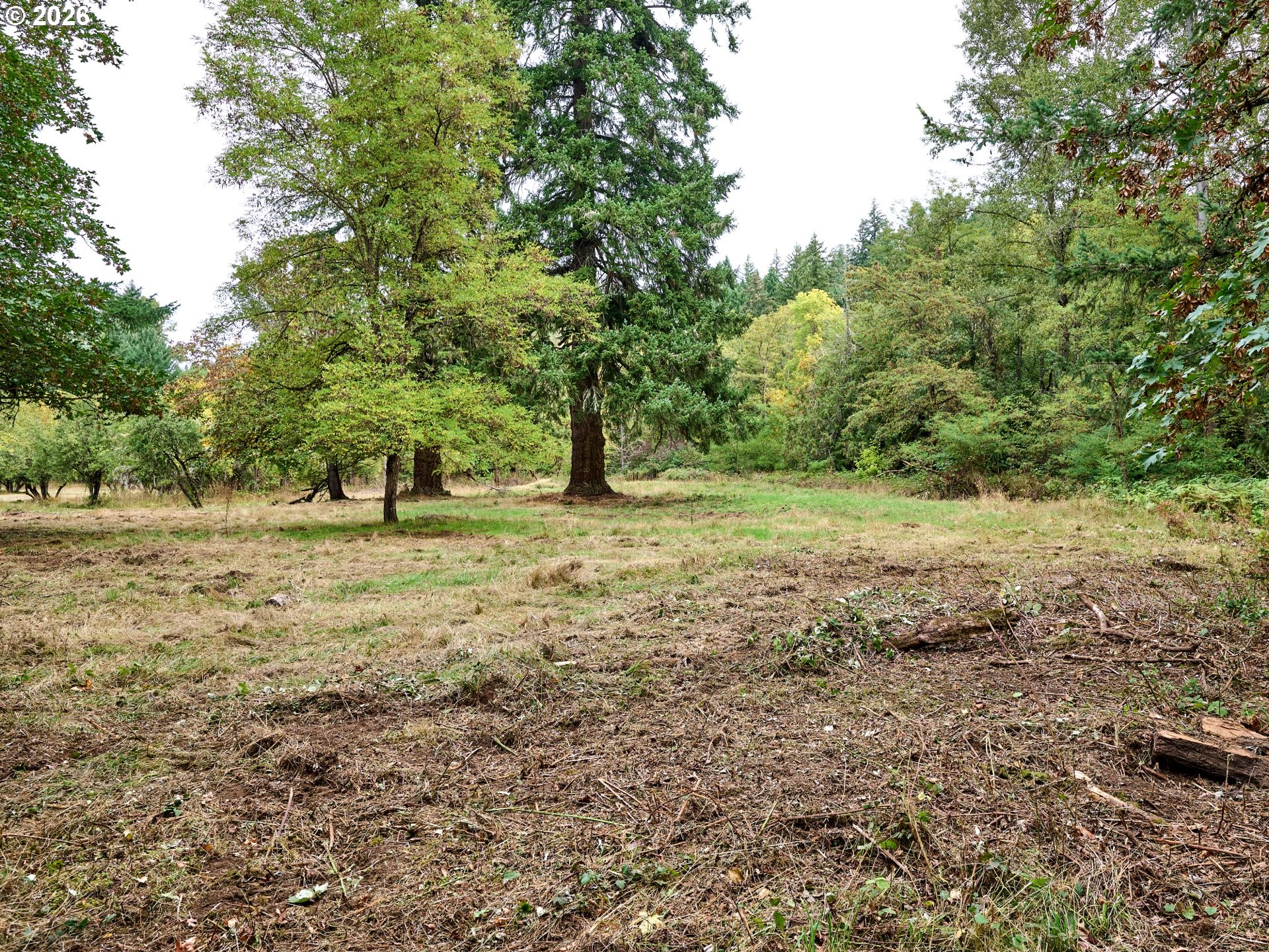 32577 Dickey Prairie Rd Property Photo 15