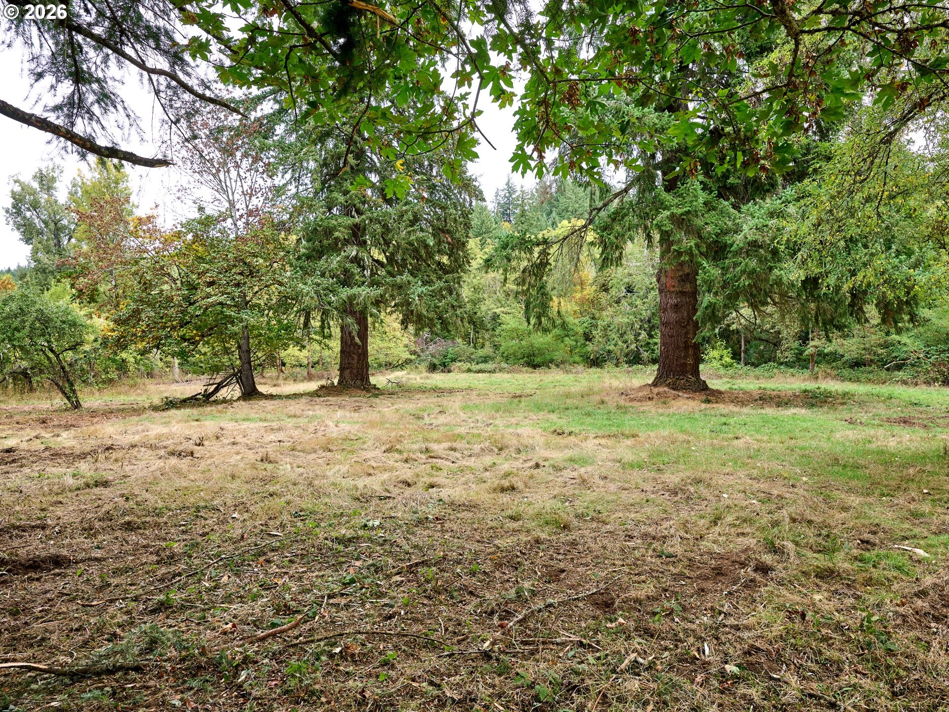 32577 Dickey Prairie Rd Property Photo 16