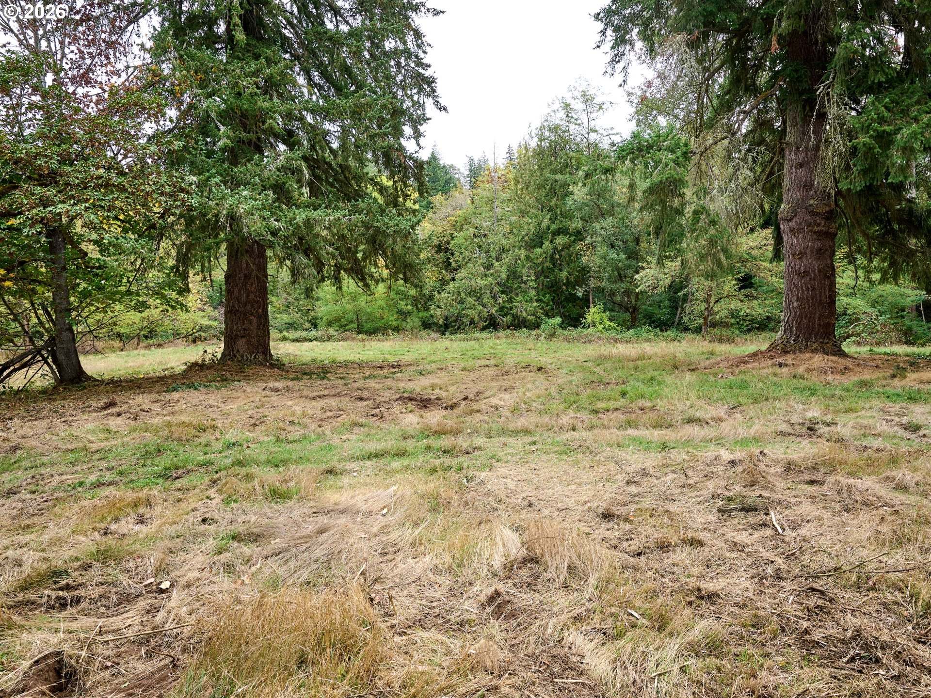 32577 Dickey Prairie Rd Property Photo 17
