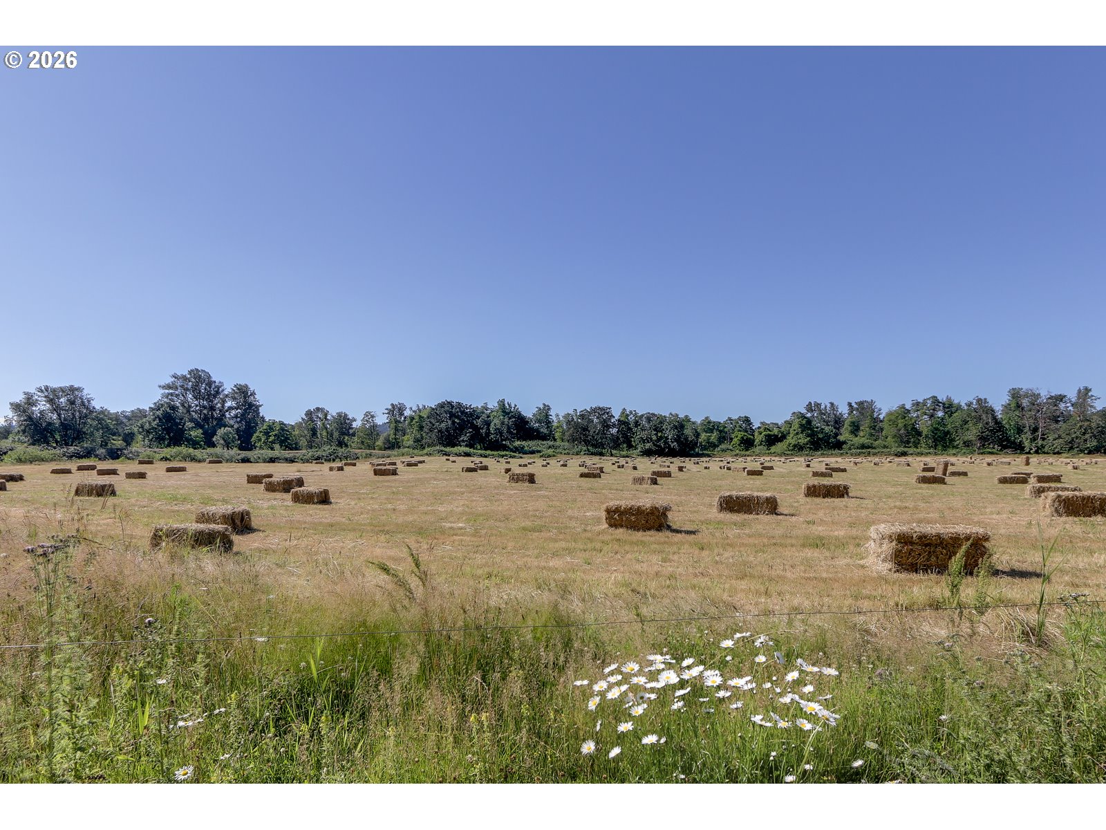 Delight Valley Property Photo 3