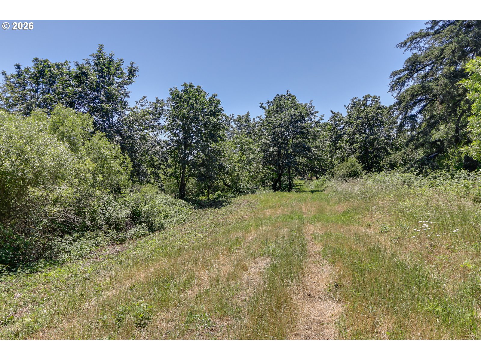 Delight Valley Property Photo 9