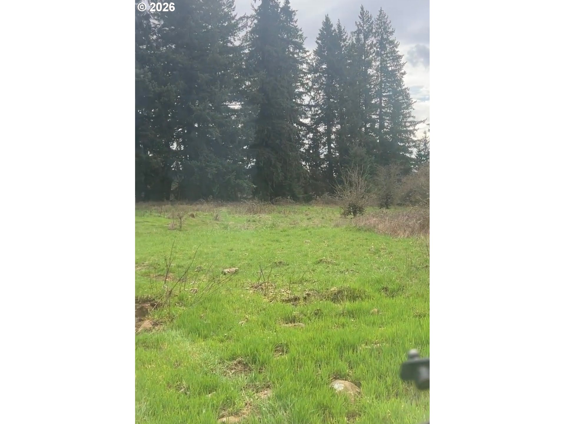 Ferguson Property Photo 3