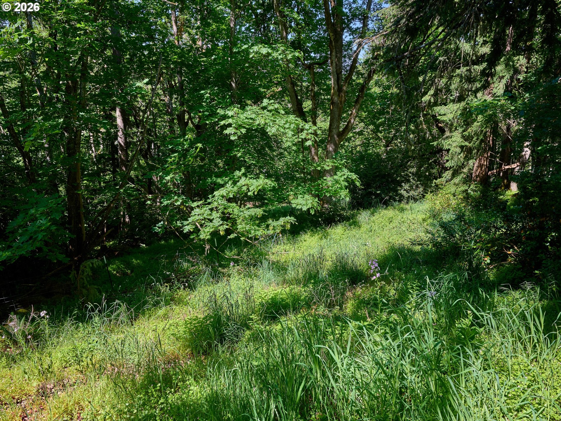 238 Rock St Property Photo 36