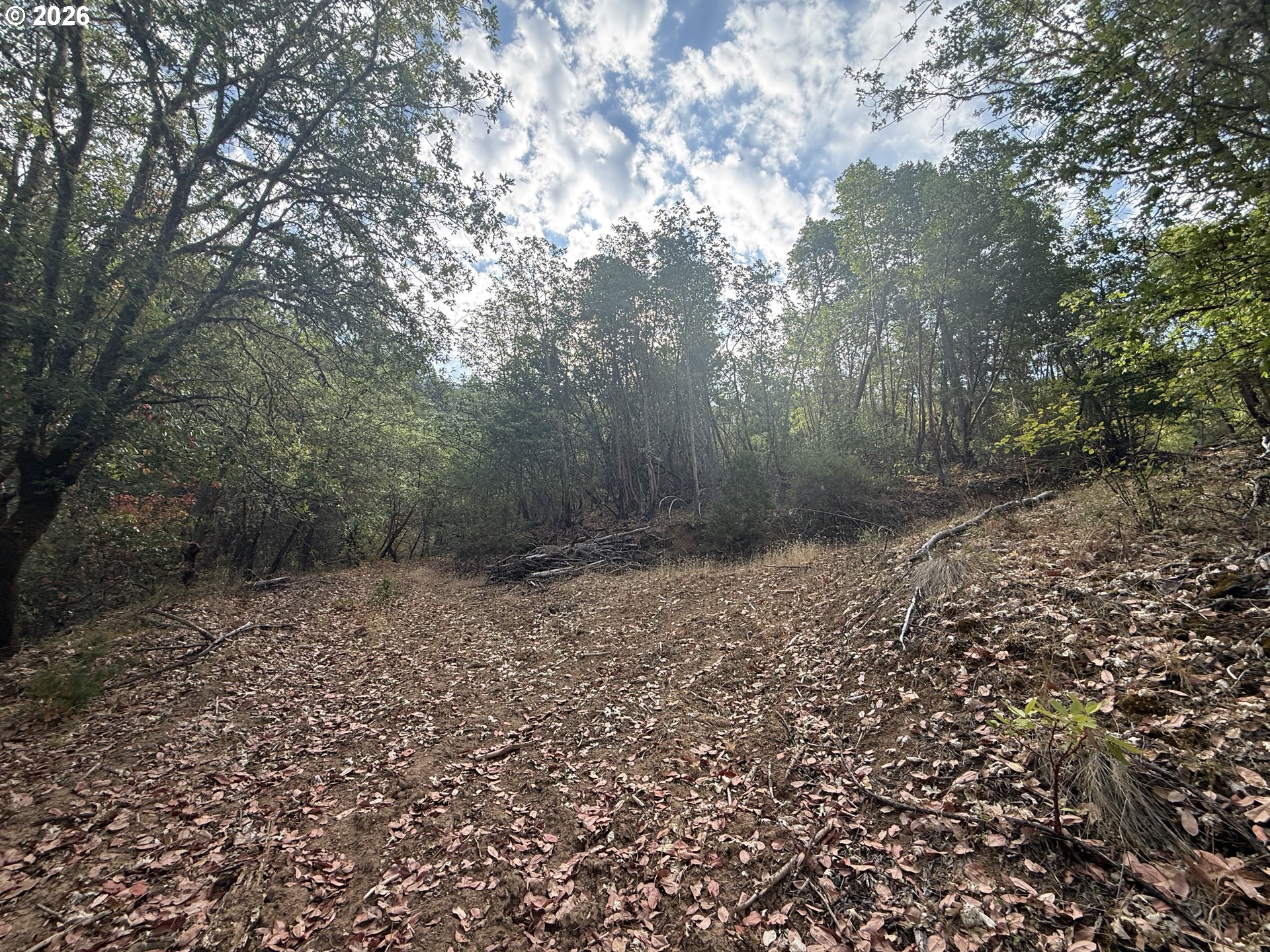 Savage Cr Rd Property Photo 1