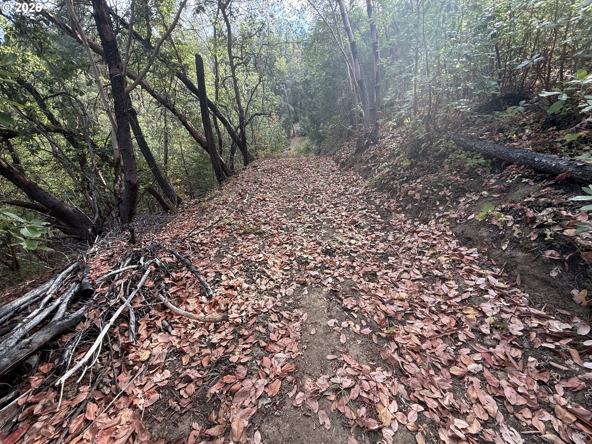 Savage Cr Rd Property Photo 3