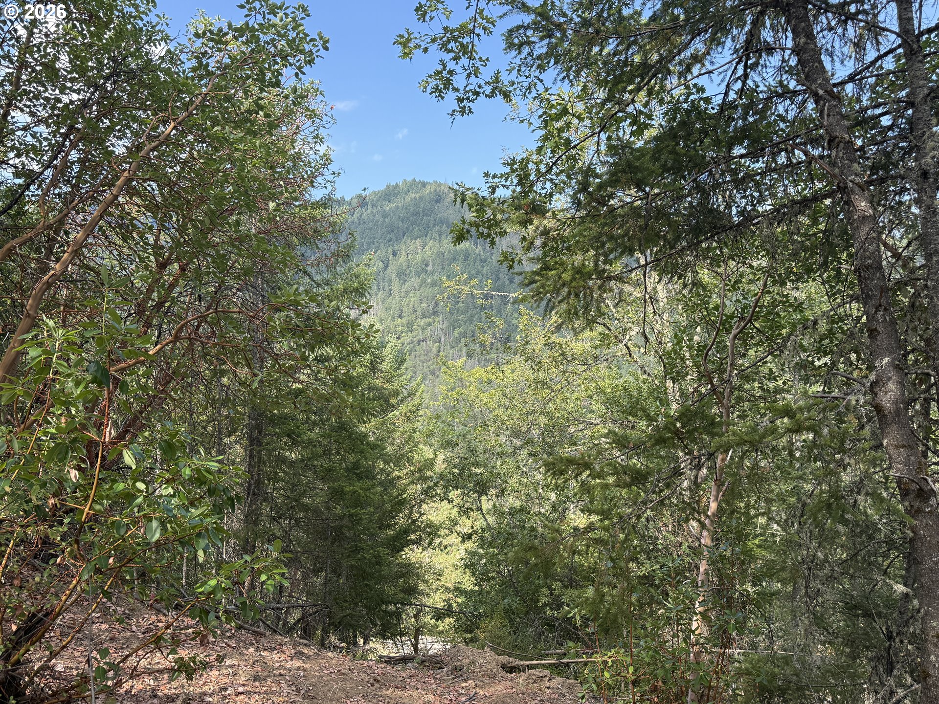 Savage Cr Rd Property Photo 4