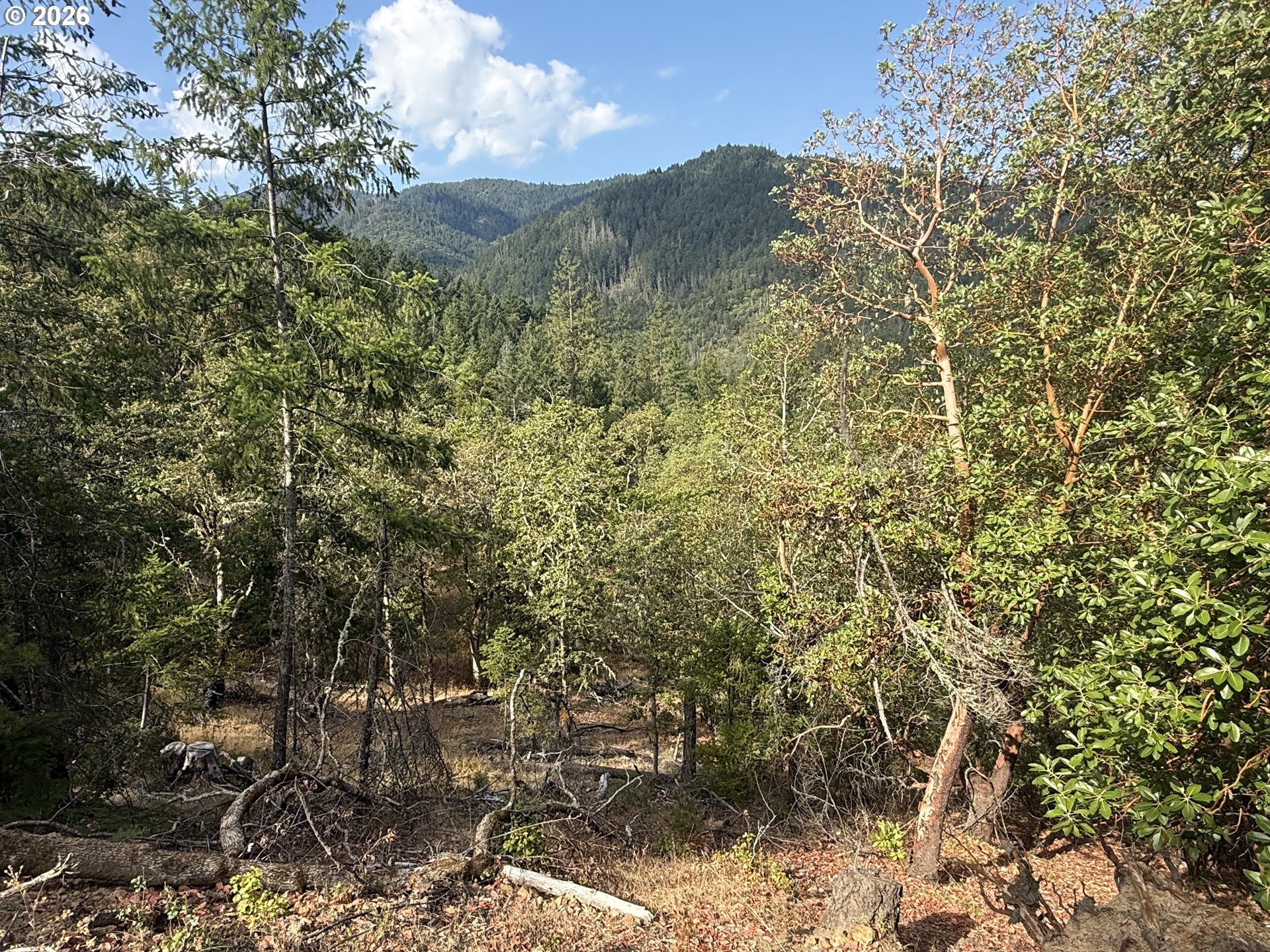 Savage Cr Rd Property Photo 6