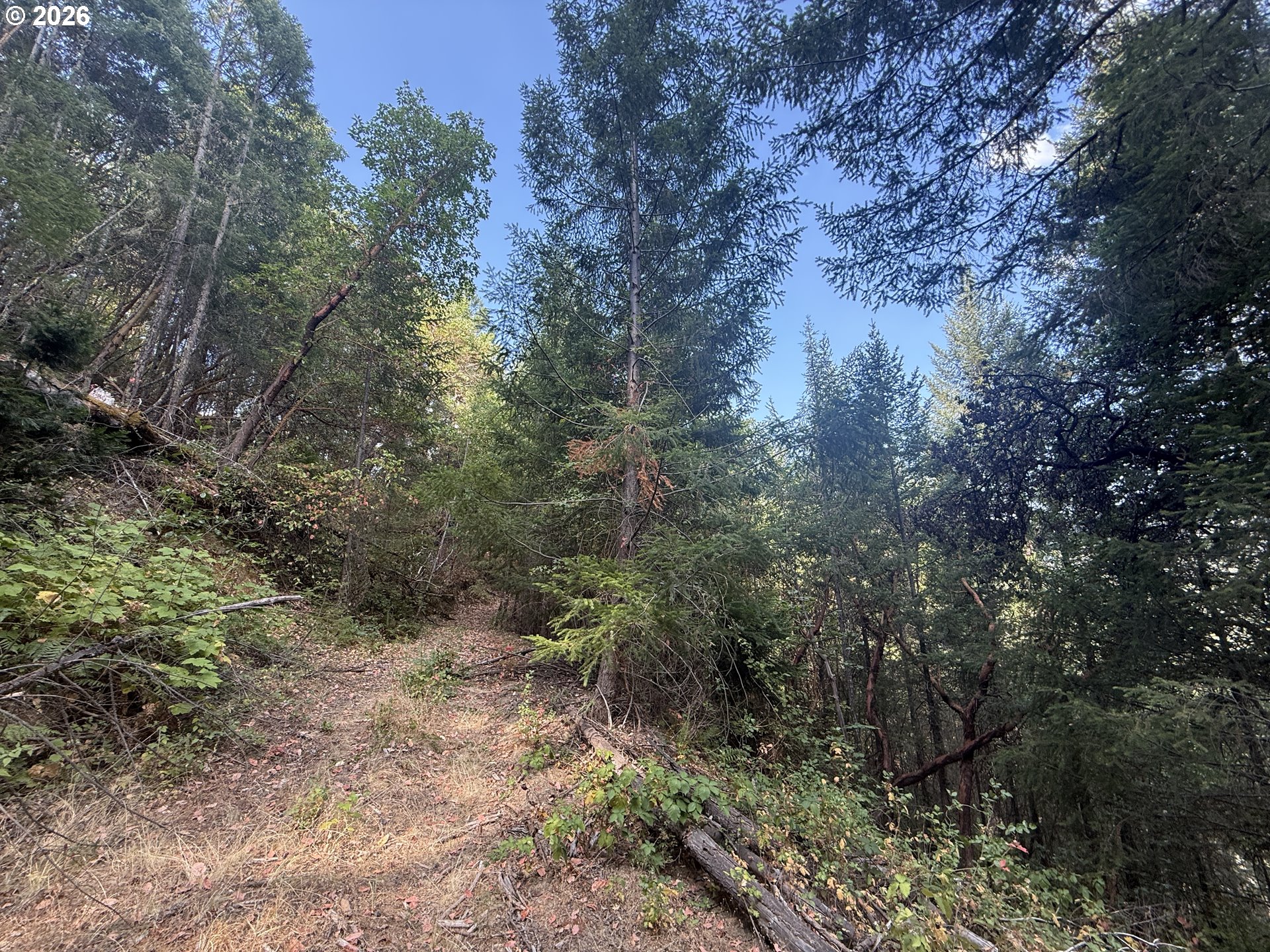 Savage Cr Rd Property Photo 8