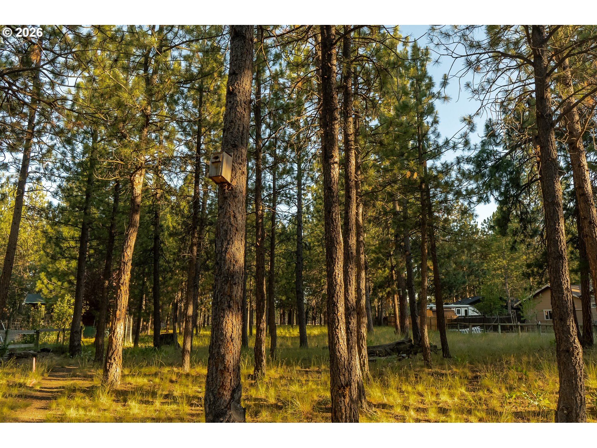 69254 Lariat Property Photo 39