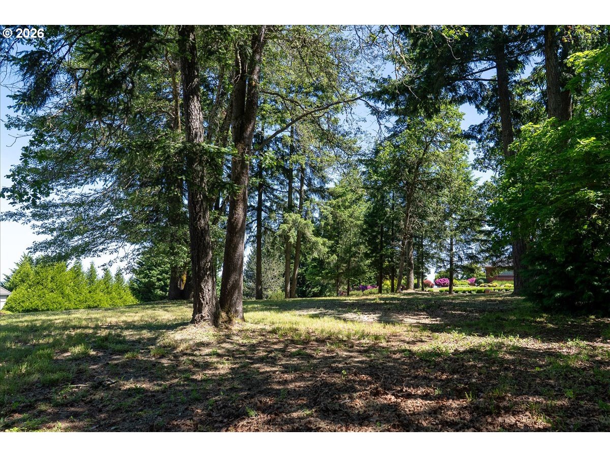 Lasater Blvd 57 Property Photo 10