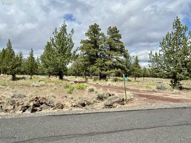 13330 Sw Airstrip Ln Property Photo 1