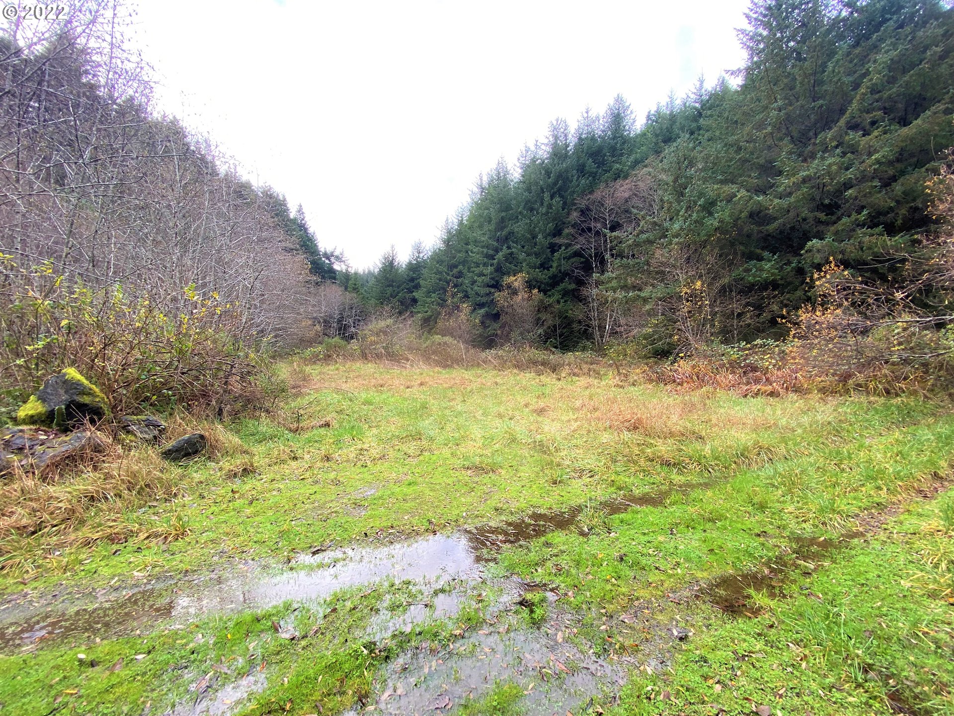 Mill Stream Rd Property Photo 15