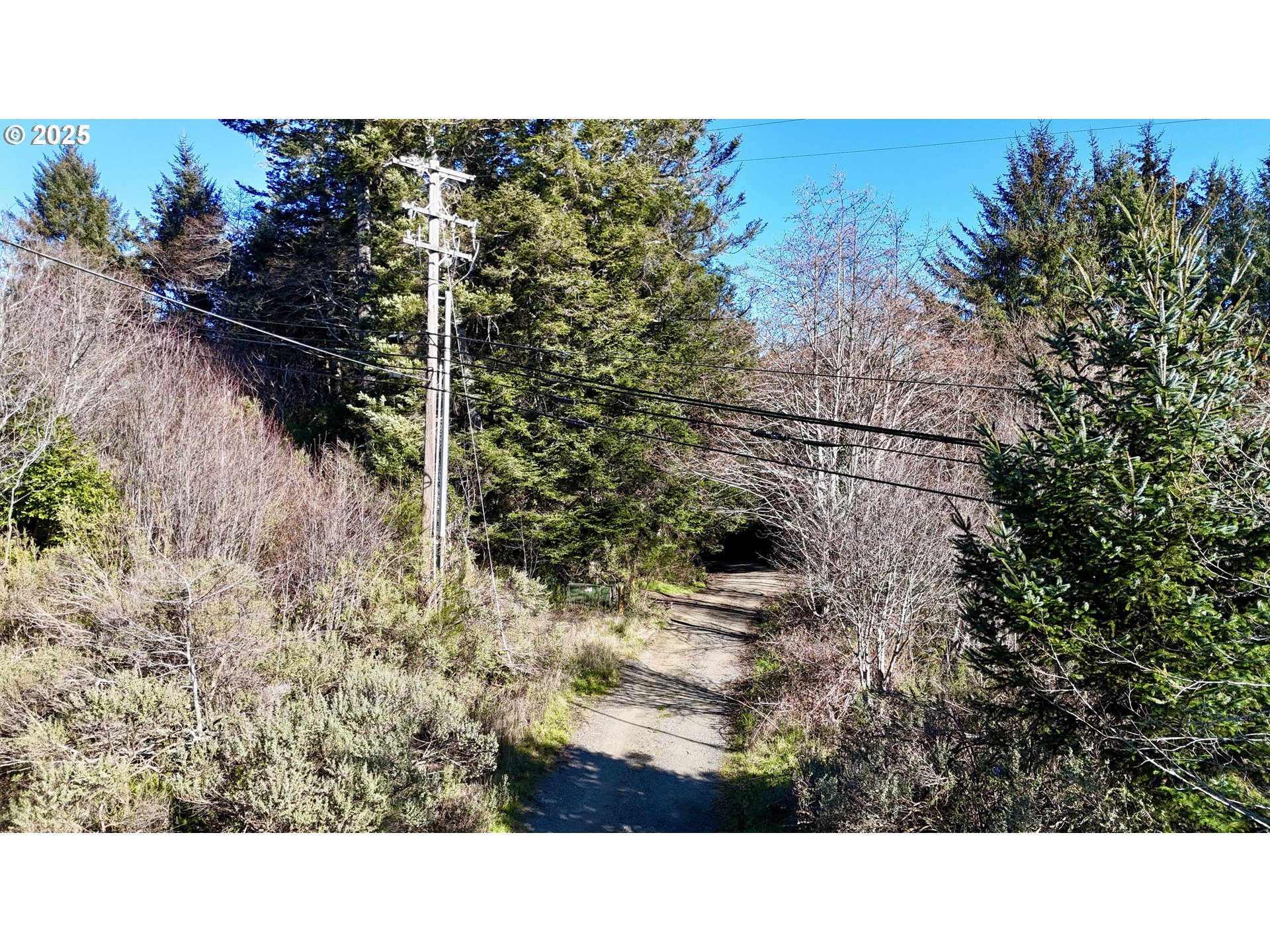 Mill Stream Rd Property Photo 27