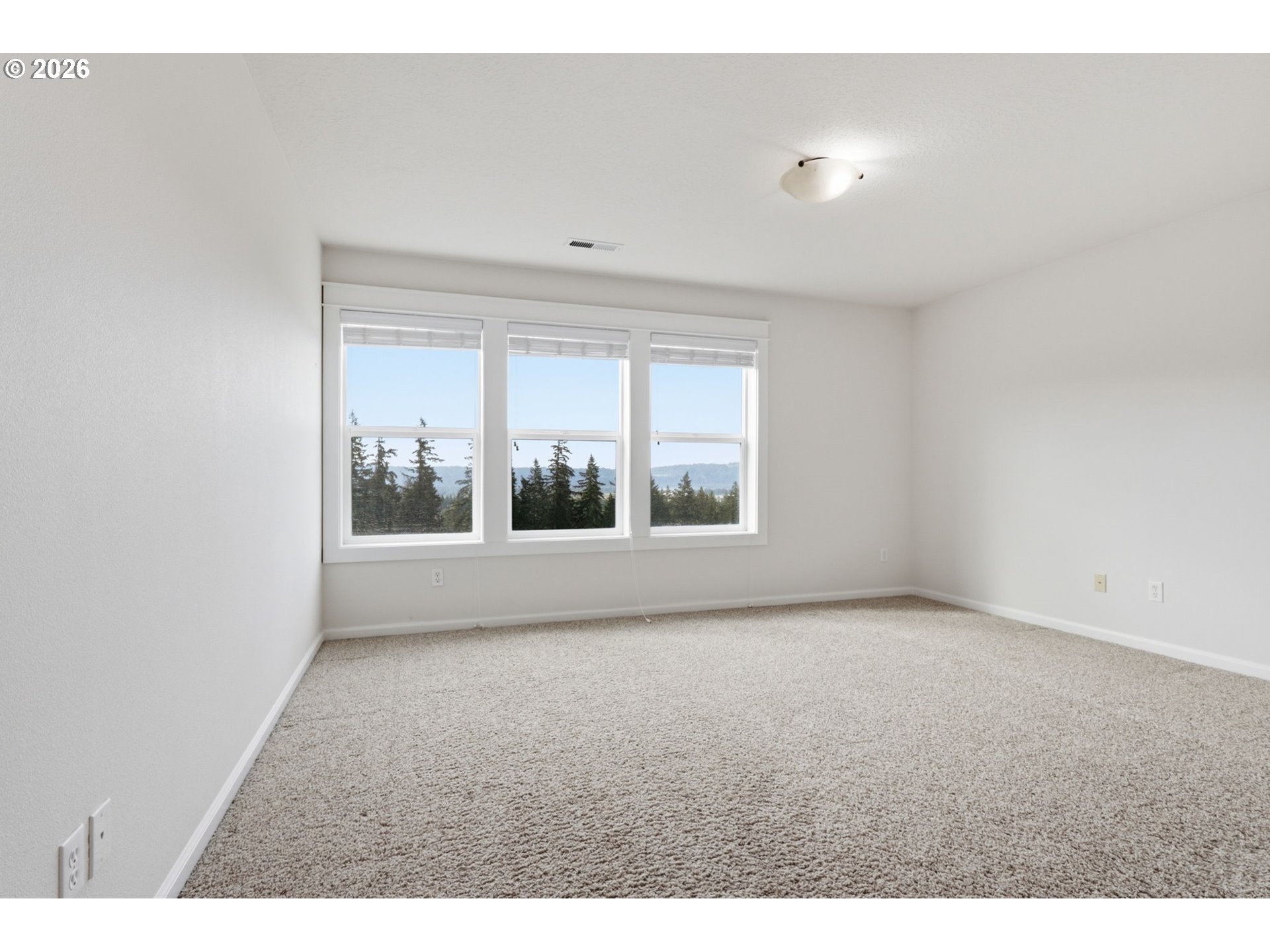 4672 Z St Property Photo 19
