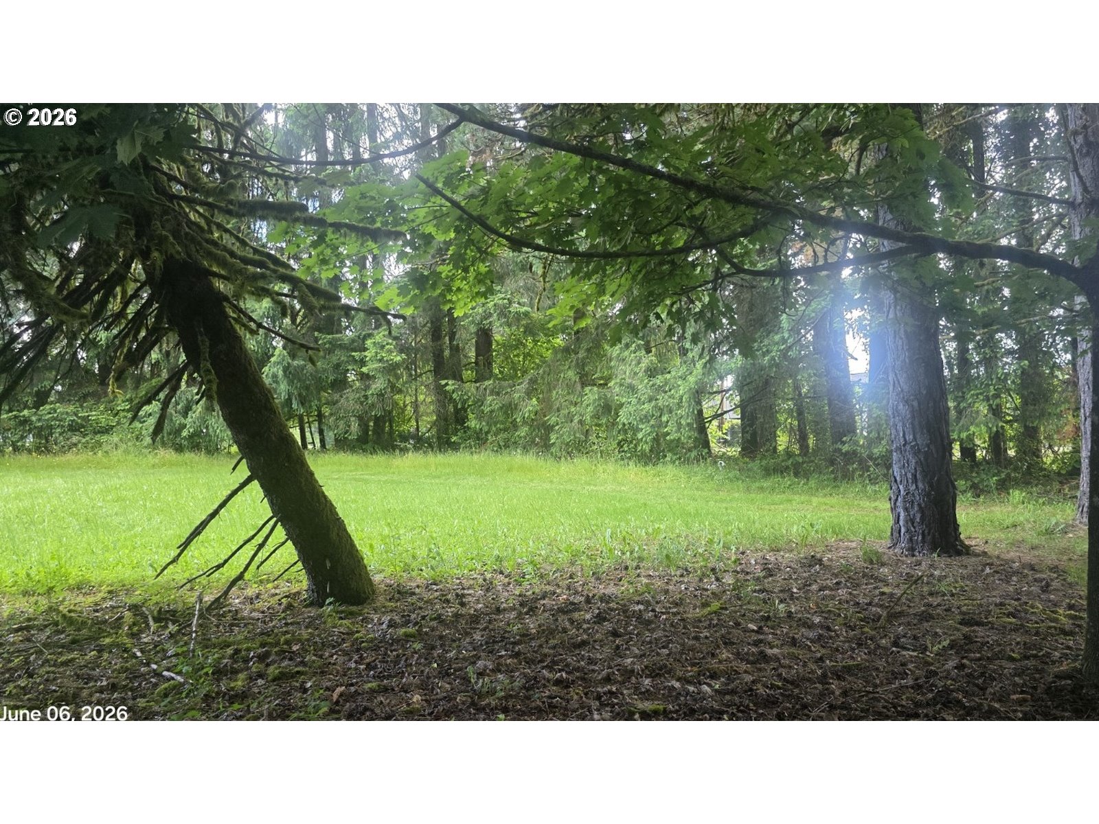 69865 Walker Rd Property Photo 5
