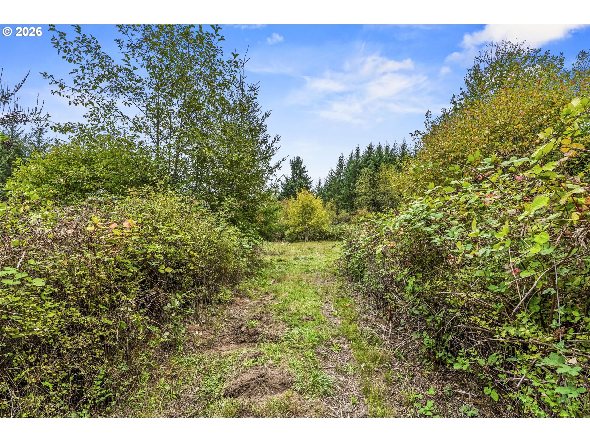 69865 Walker Rd Property Photo 18