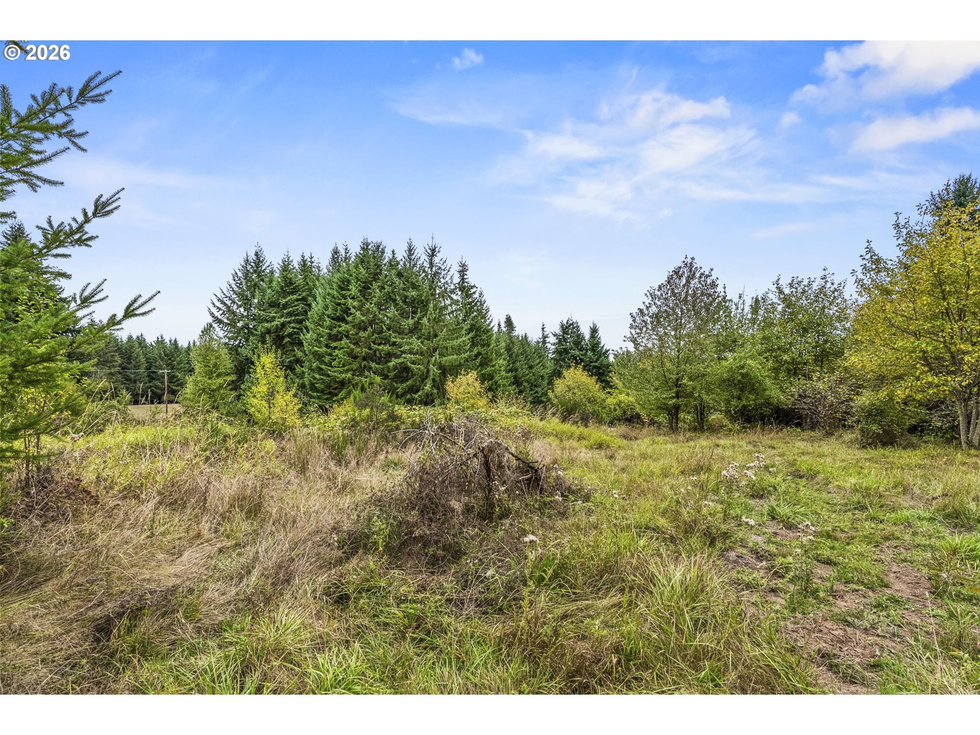 69865 Walker Rd Property Photo 19