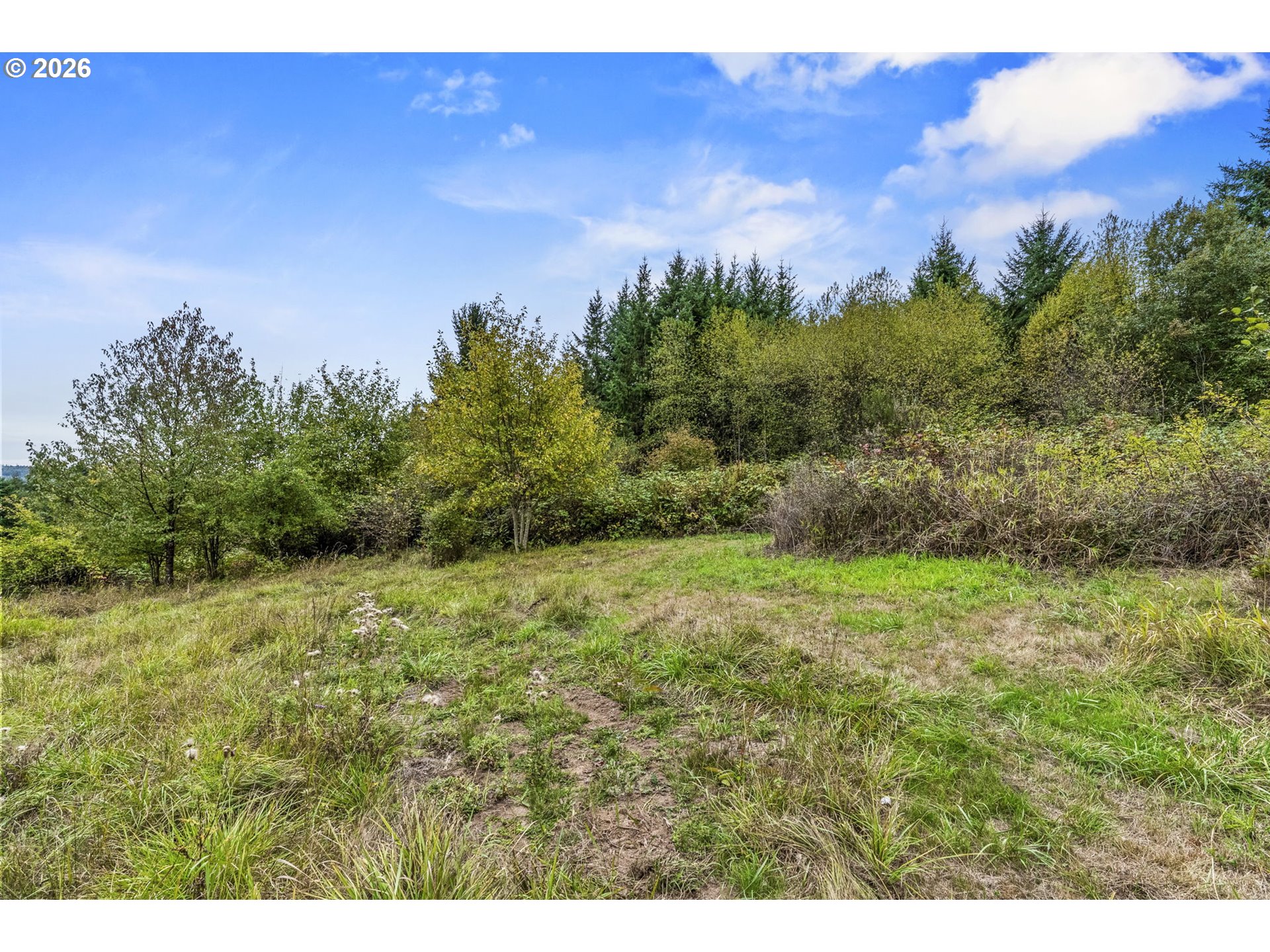 69865 Walker Rd Property Photo 20