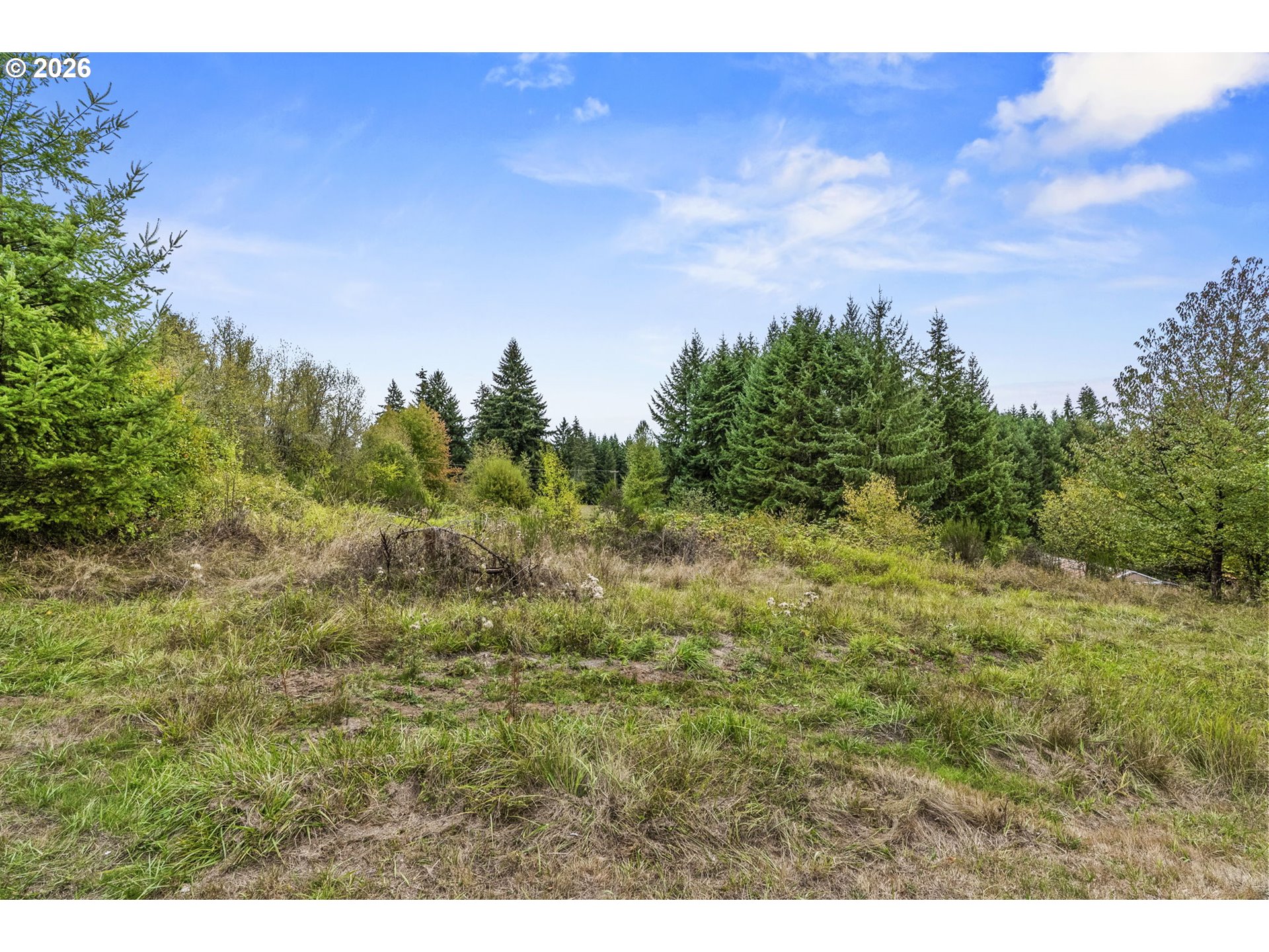 69865 Walker Rd Property Photo 21