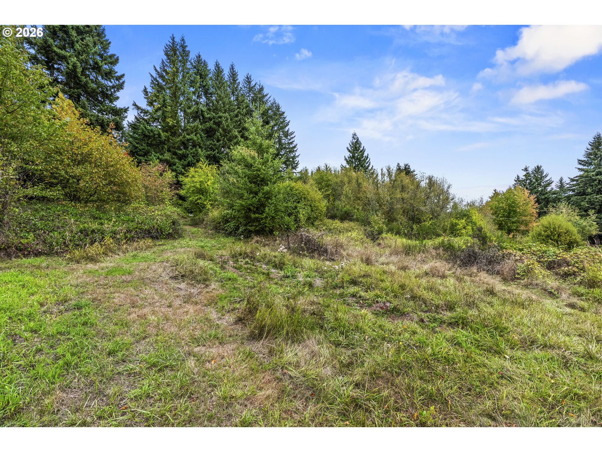 69865 Walker Rd Property Photo 22
