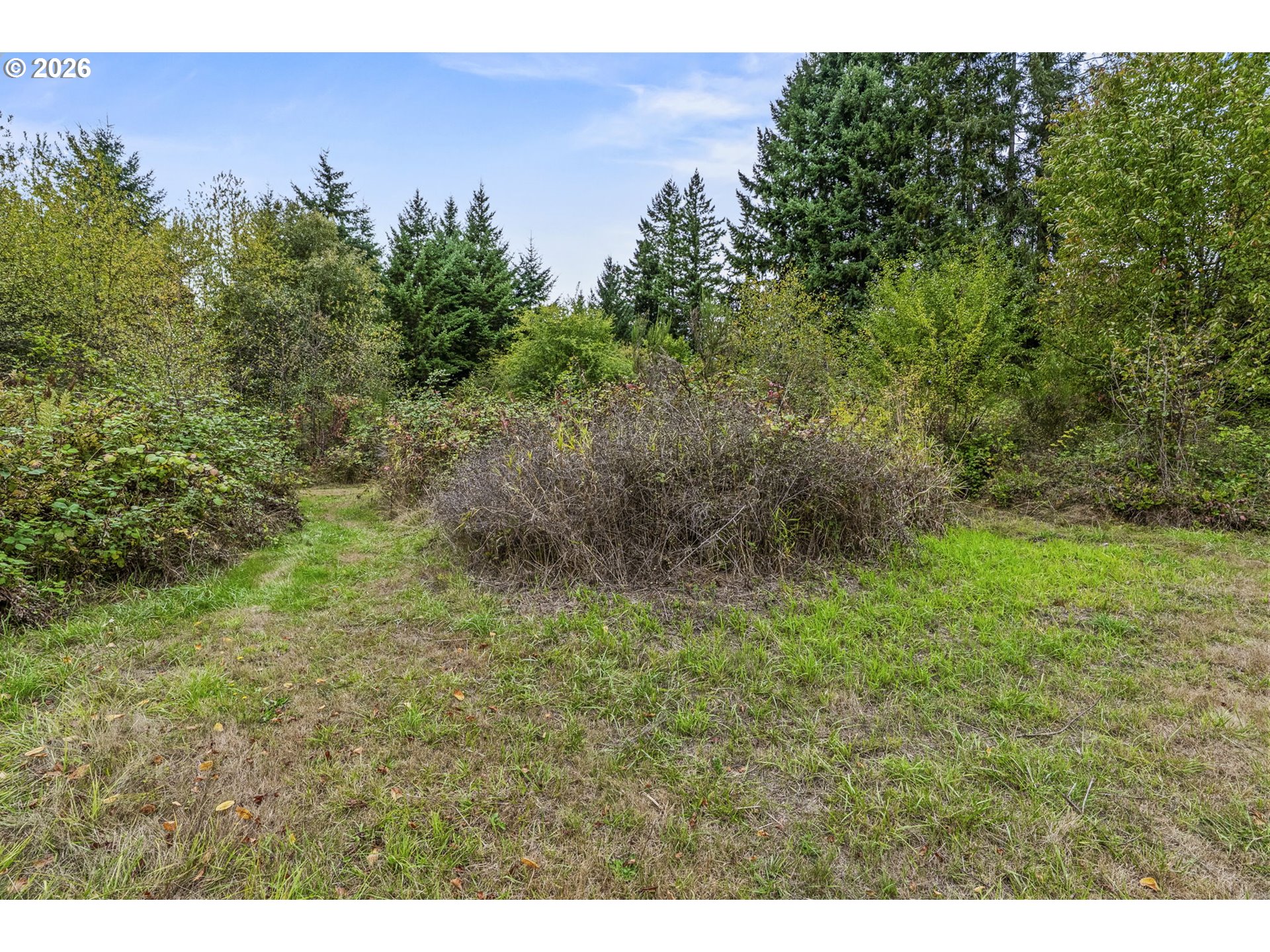 69865 Walker Rd Property Photo 23